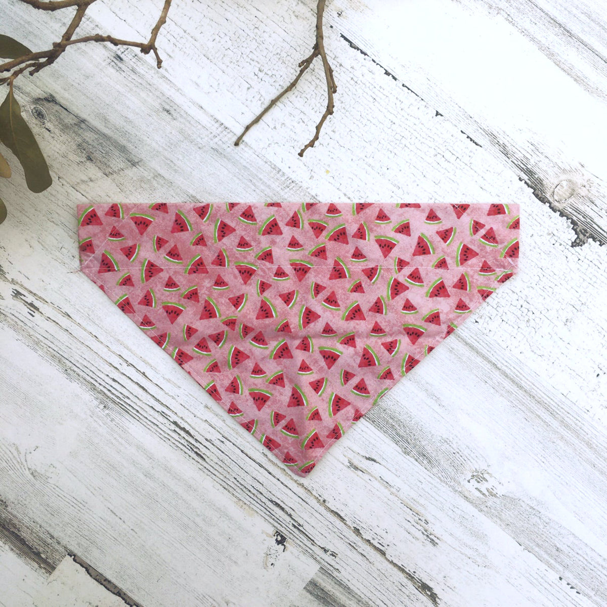 Watermelon Slices - Slip On Pet Bandana