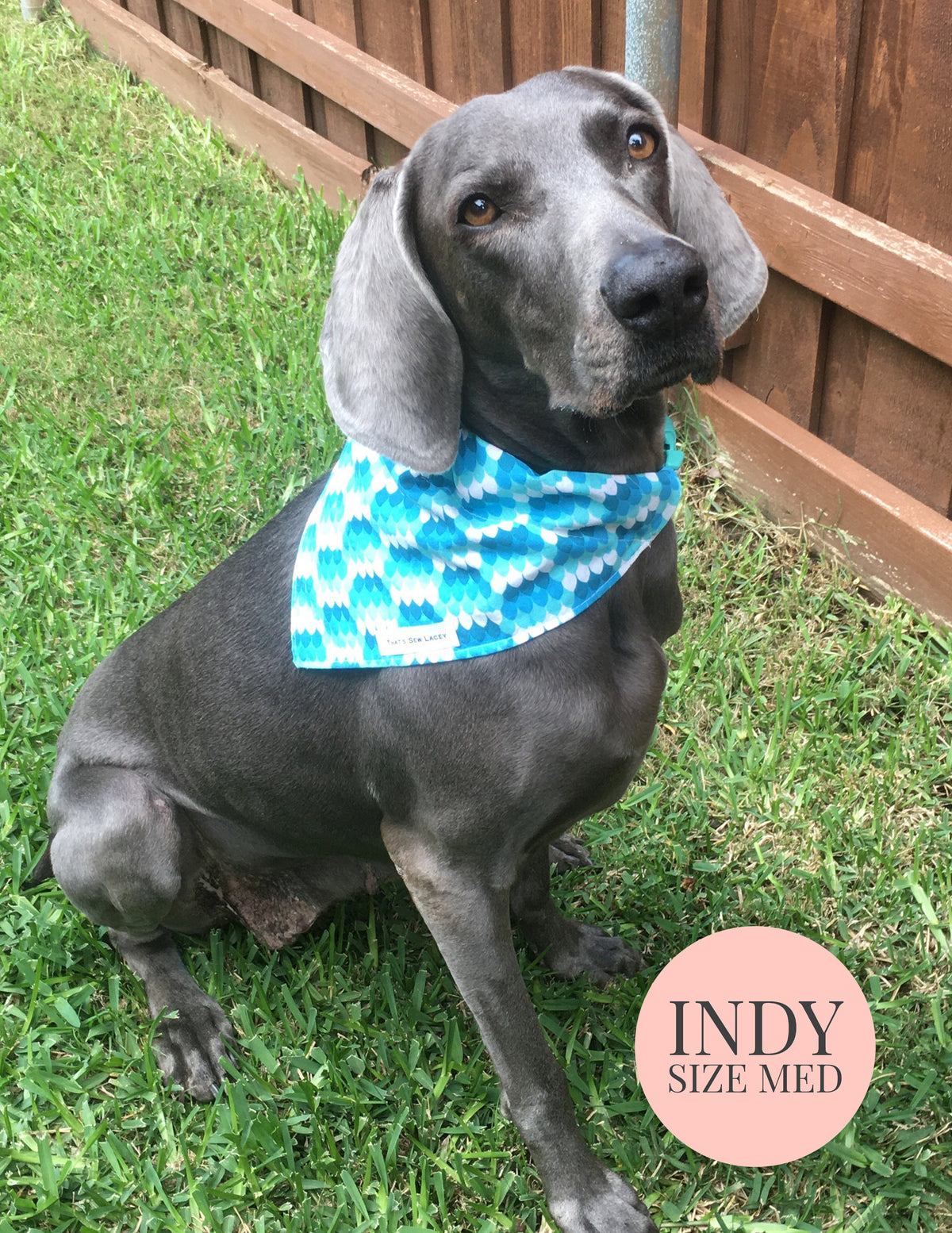 Mermaid Scales - Slip On Pet Bandana