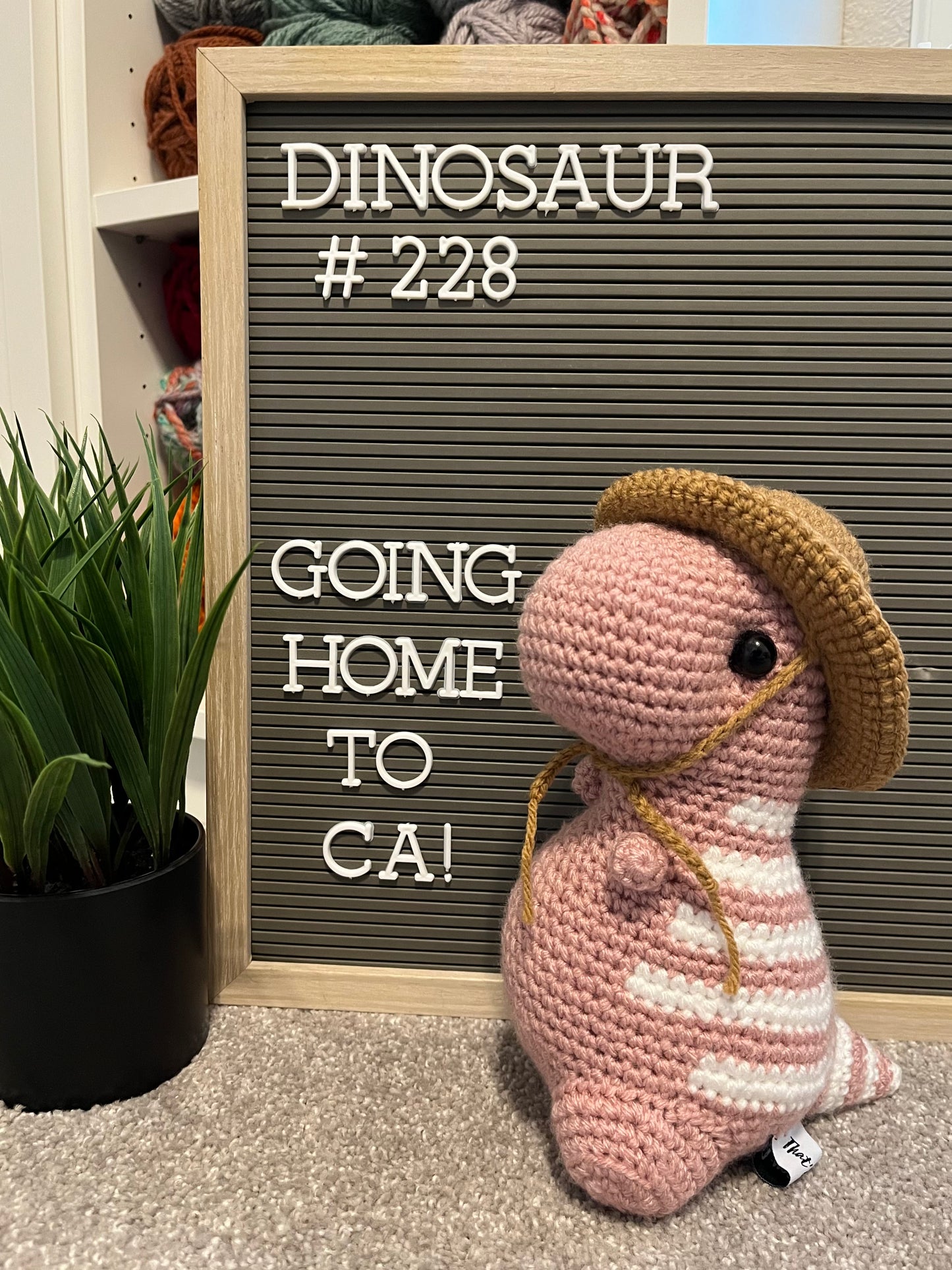 Light Rose Pink & White - Chubby Dinosaur