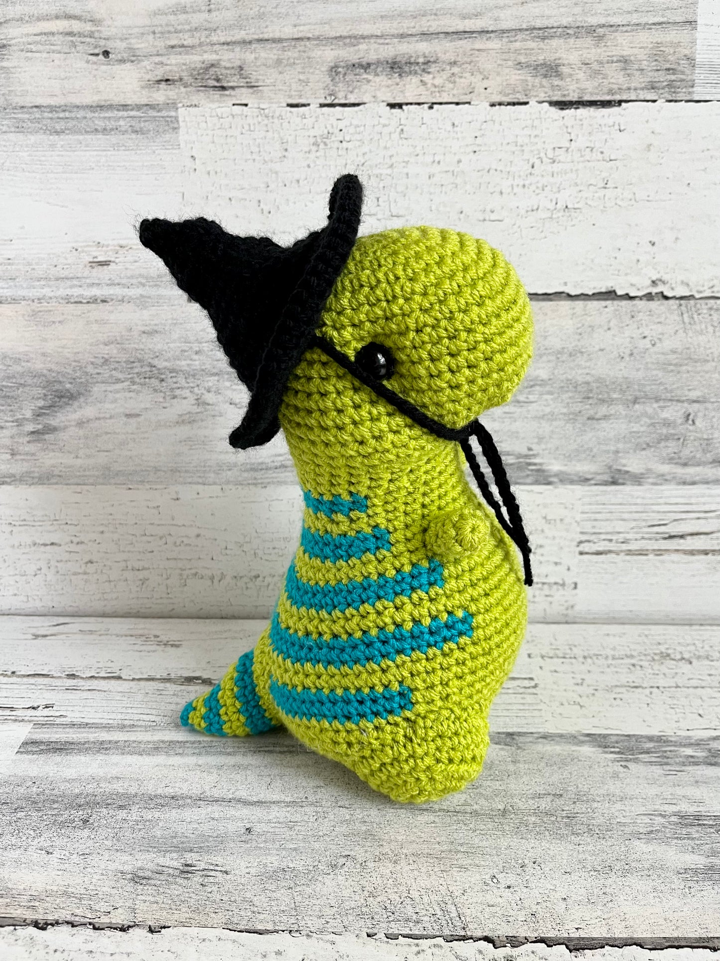 Witch Hat - Dinosaur Accessories