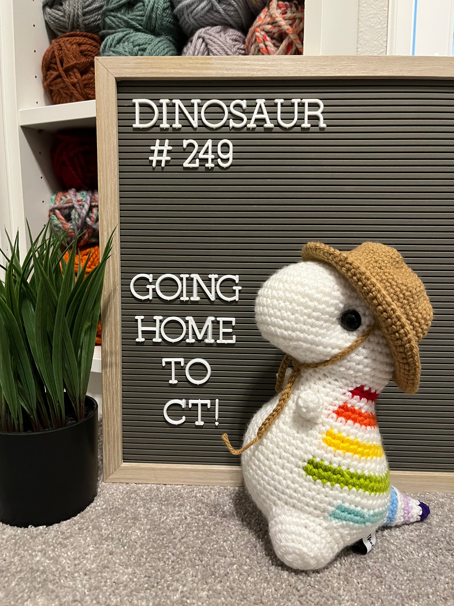 Rainbow Stripes - Chubby Dinosaur