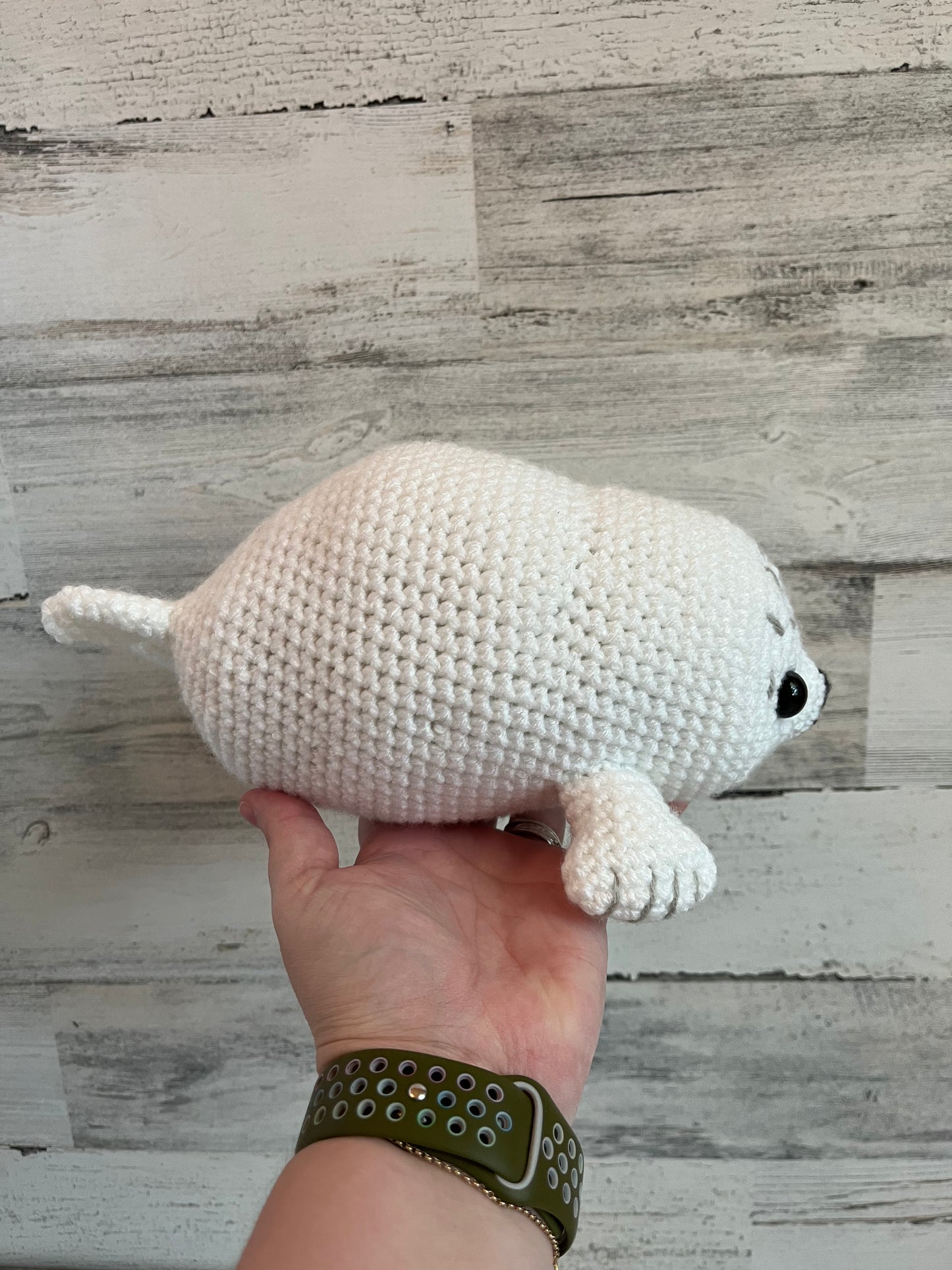 Chubby Baby Seal