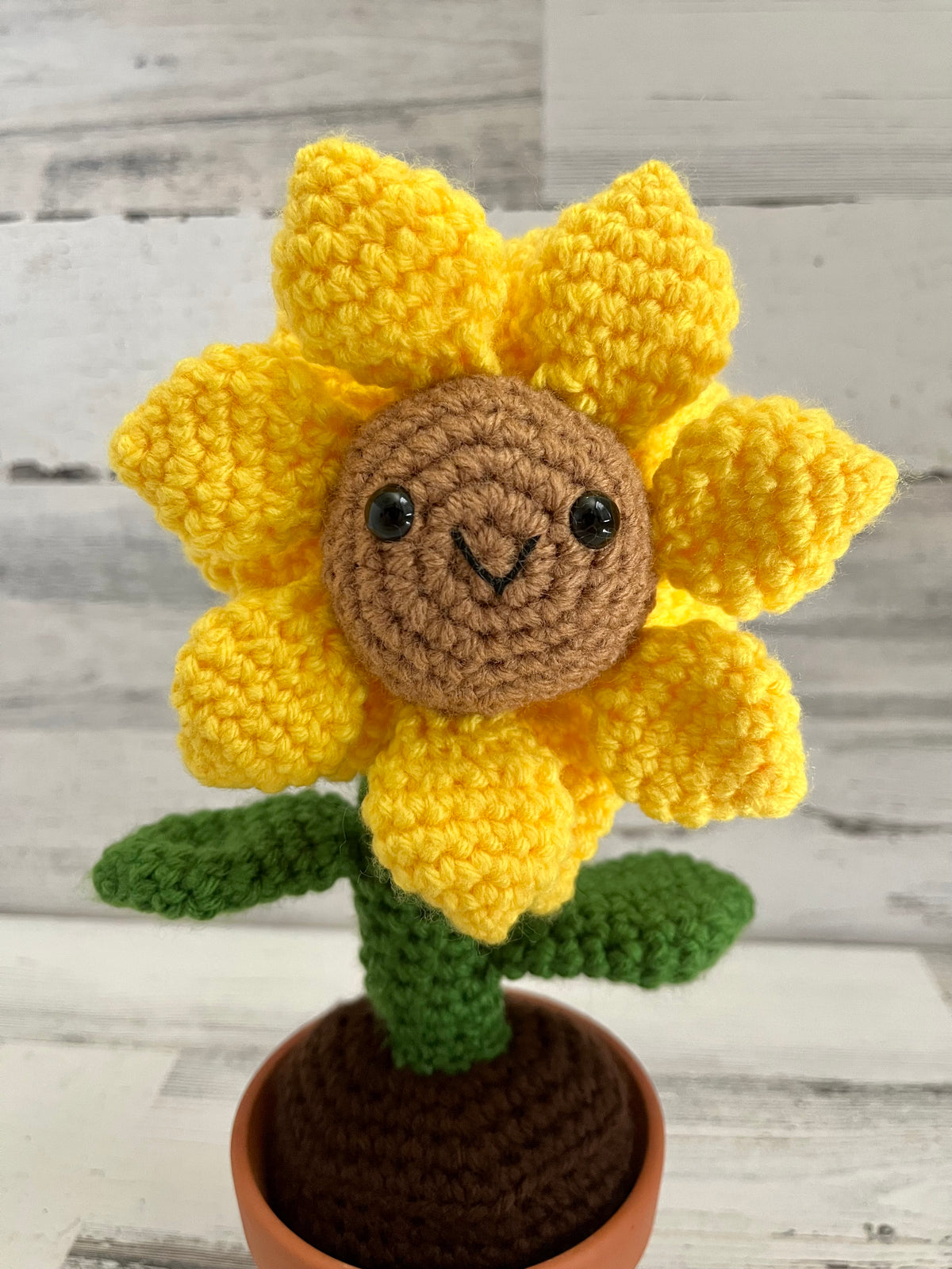 Potted Sunflower