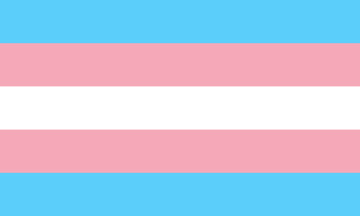 Trans Pride - Chubby Dinosaur