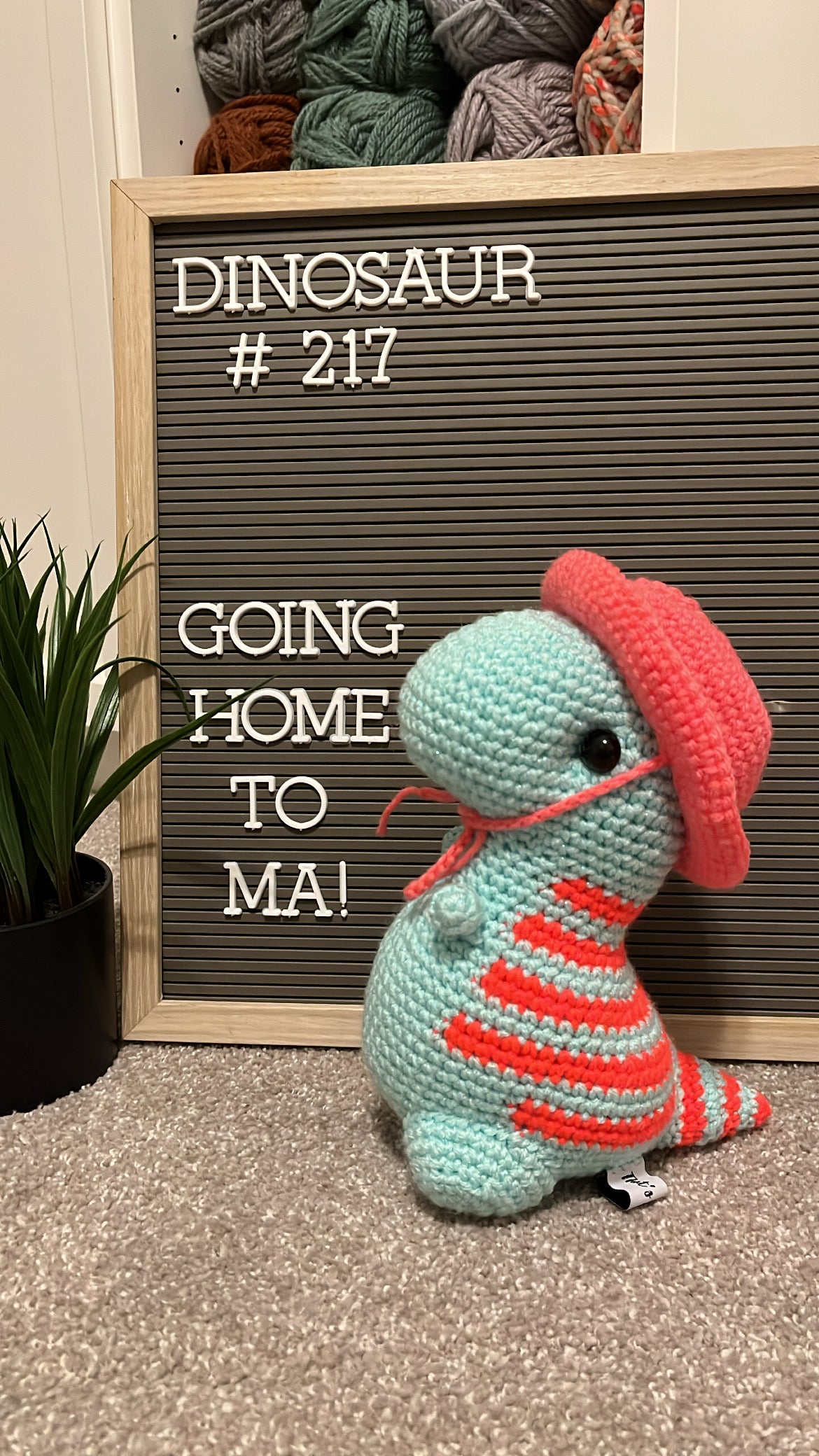 Sparkle Turquoise & Coral - Chubby Dinosaur