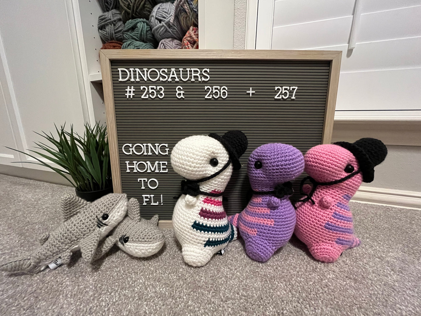 Amethyst & Pink - Chubby Dinosaur