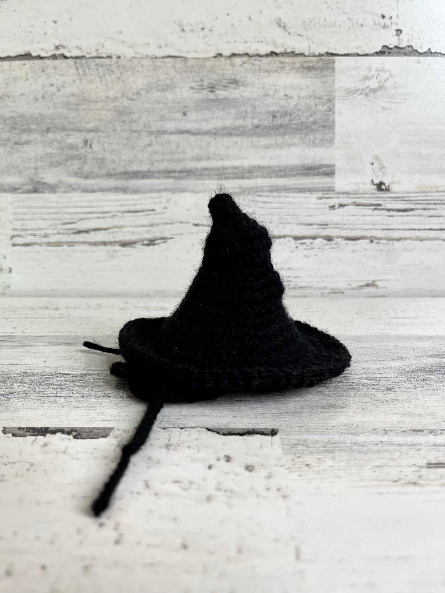 Witch Hat - Dinosaur Accessories