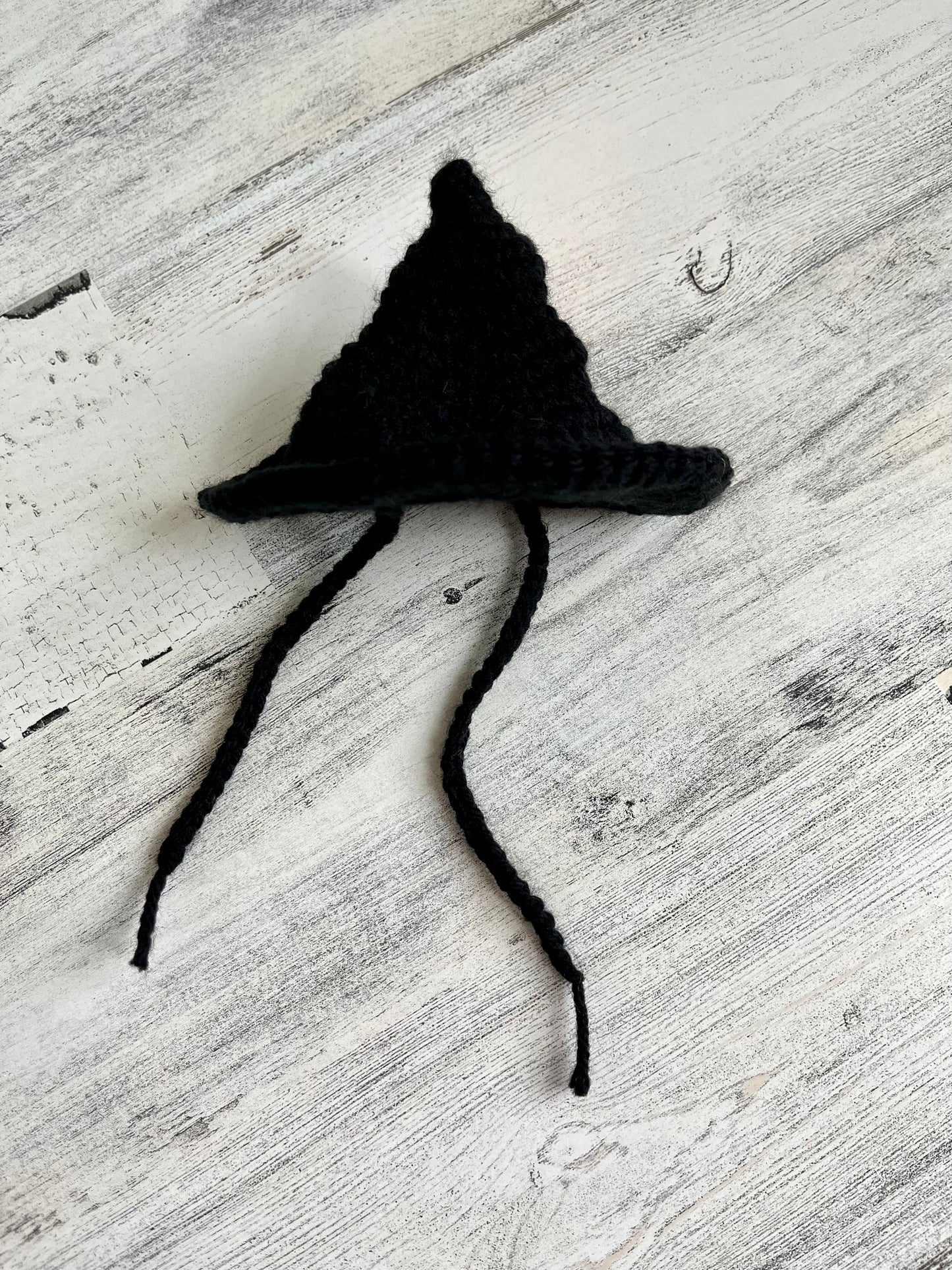 Witch Hat - Dinosaur Accessories