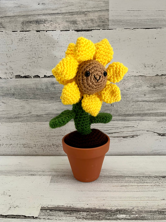 Potted Sunflower