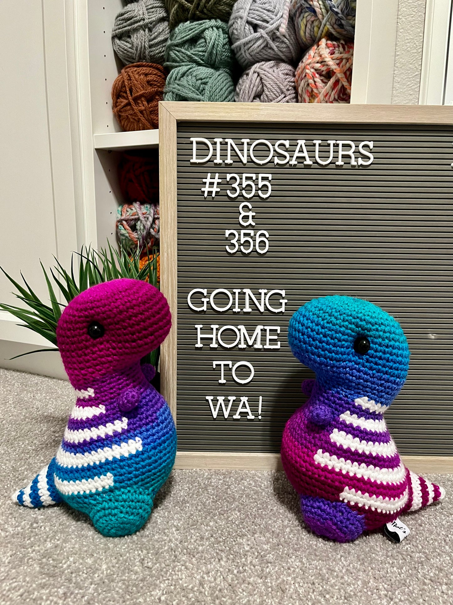 Polo Ombré - Chubby Dinosaur