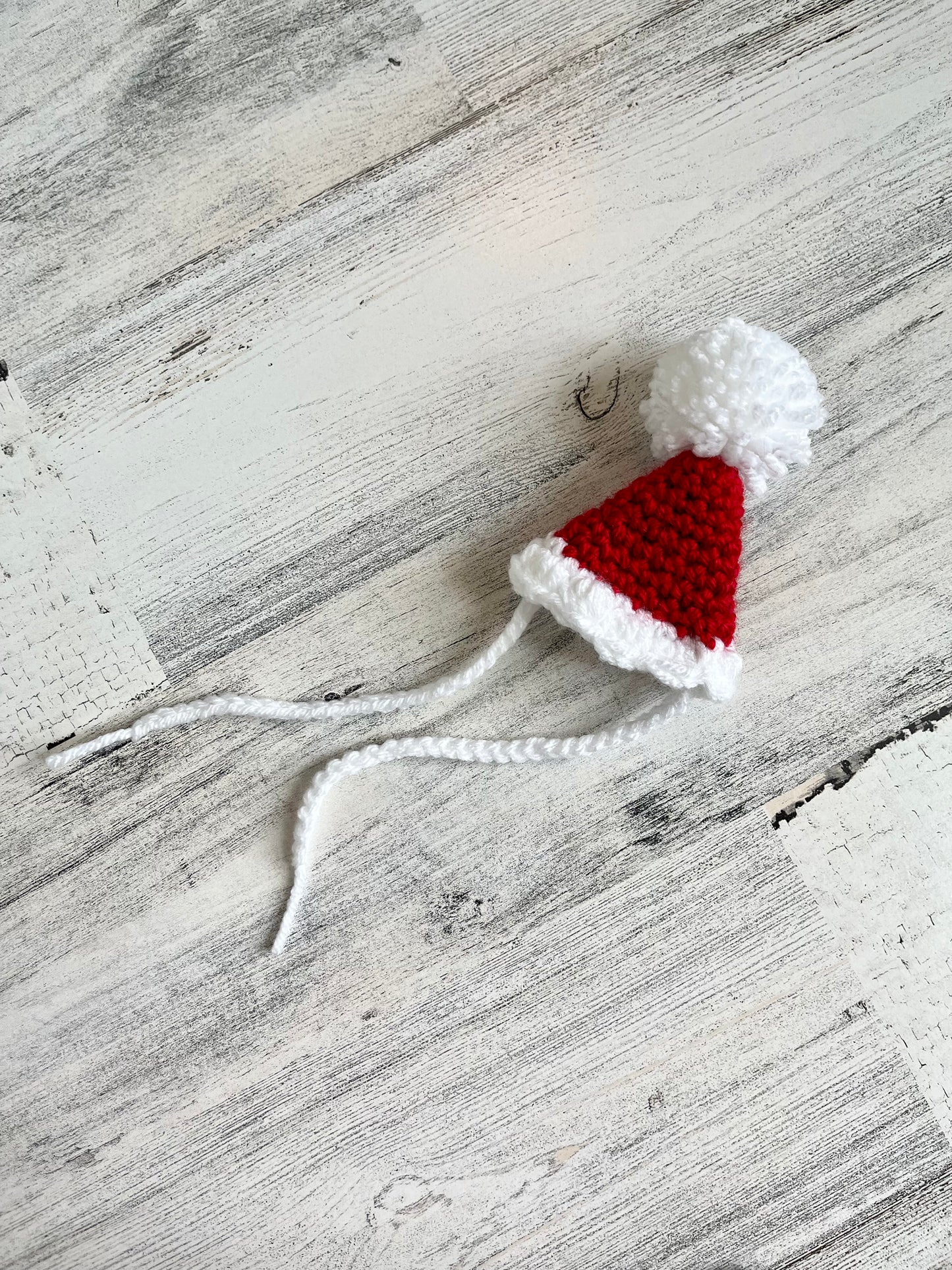 Santa Hat - Dinosaur Accessories