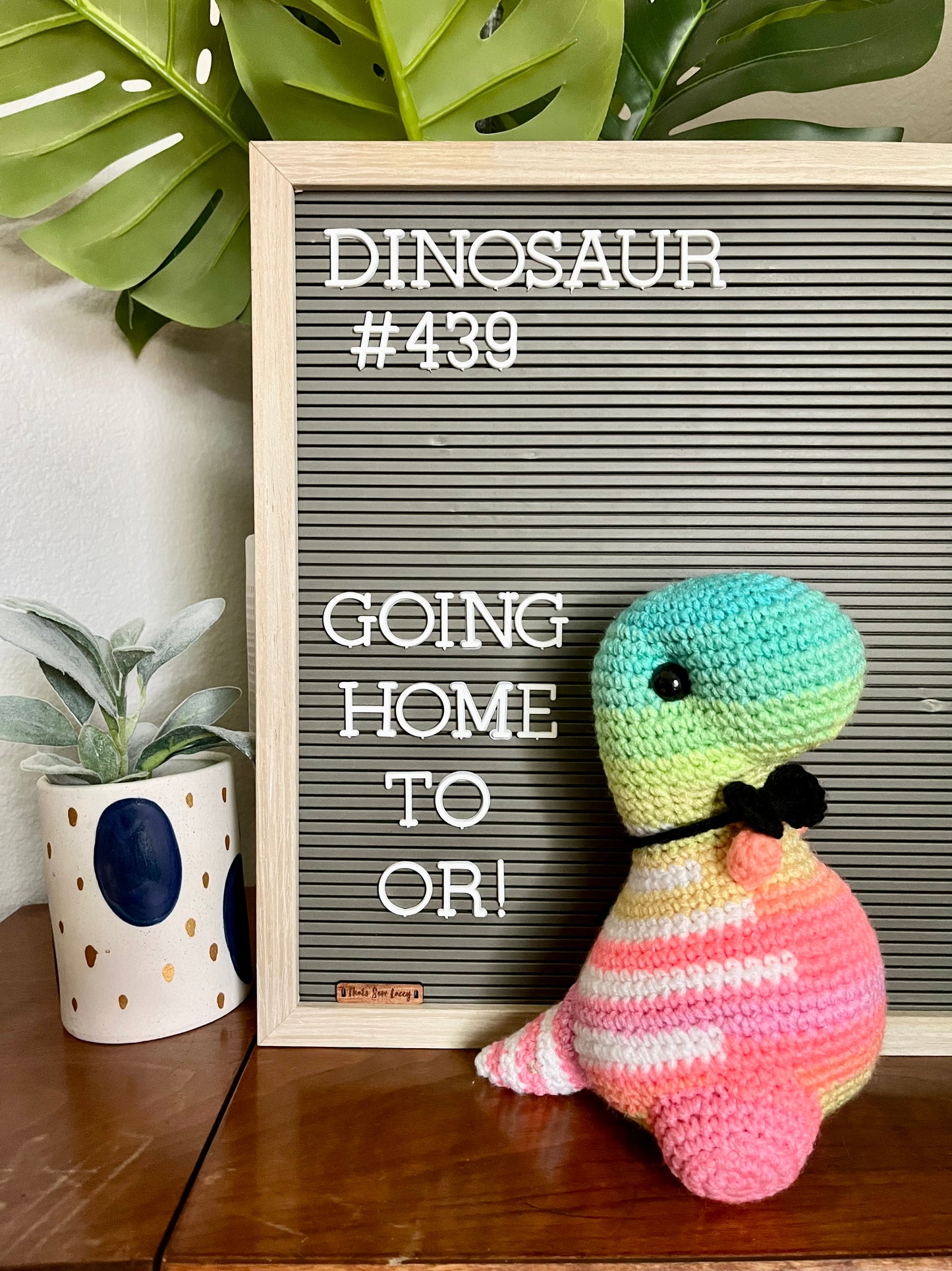 Pastel Ombré- Chubby Dinosaur