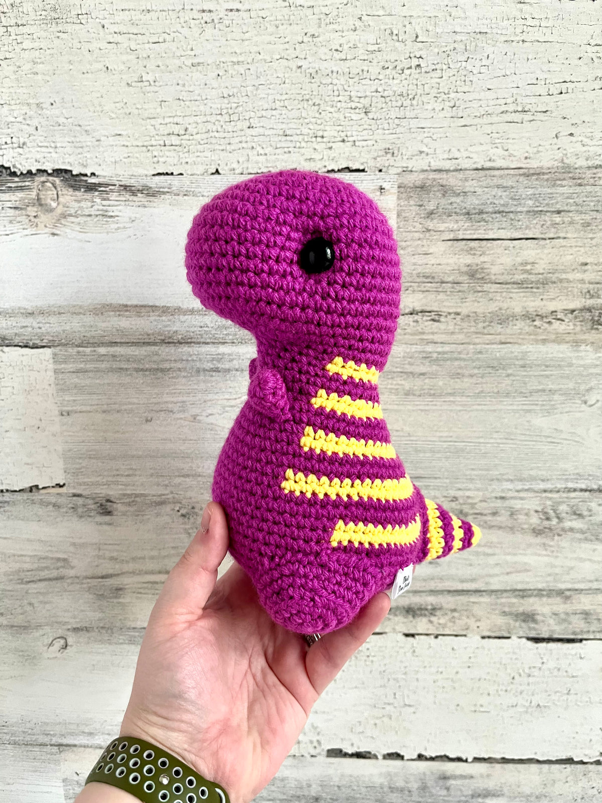 Purple and Yellow - Chubby Dinosaur