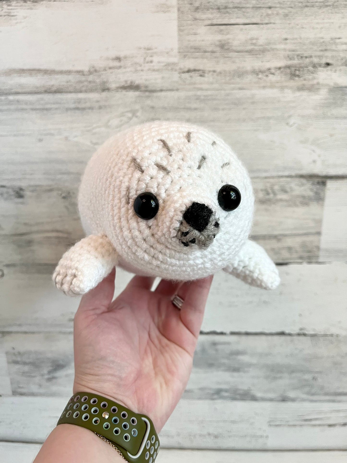 Chubby Baby Seal
