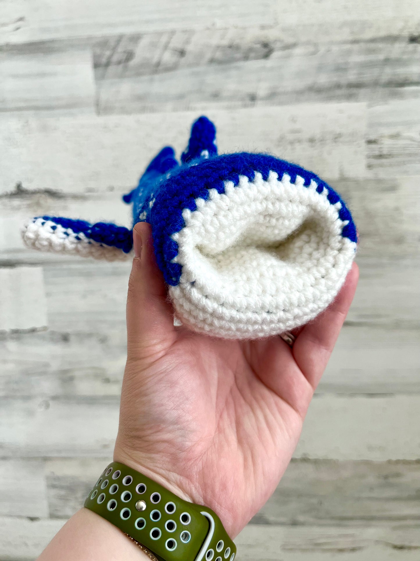 Whale Shark