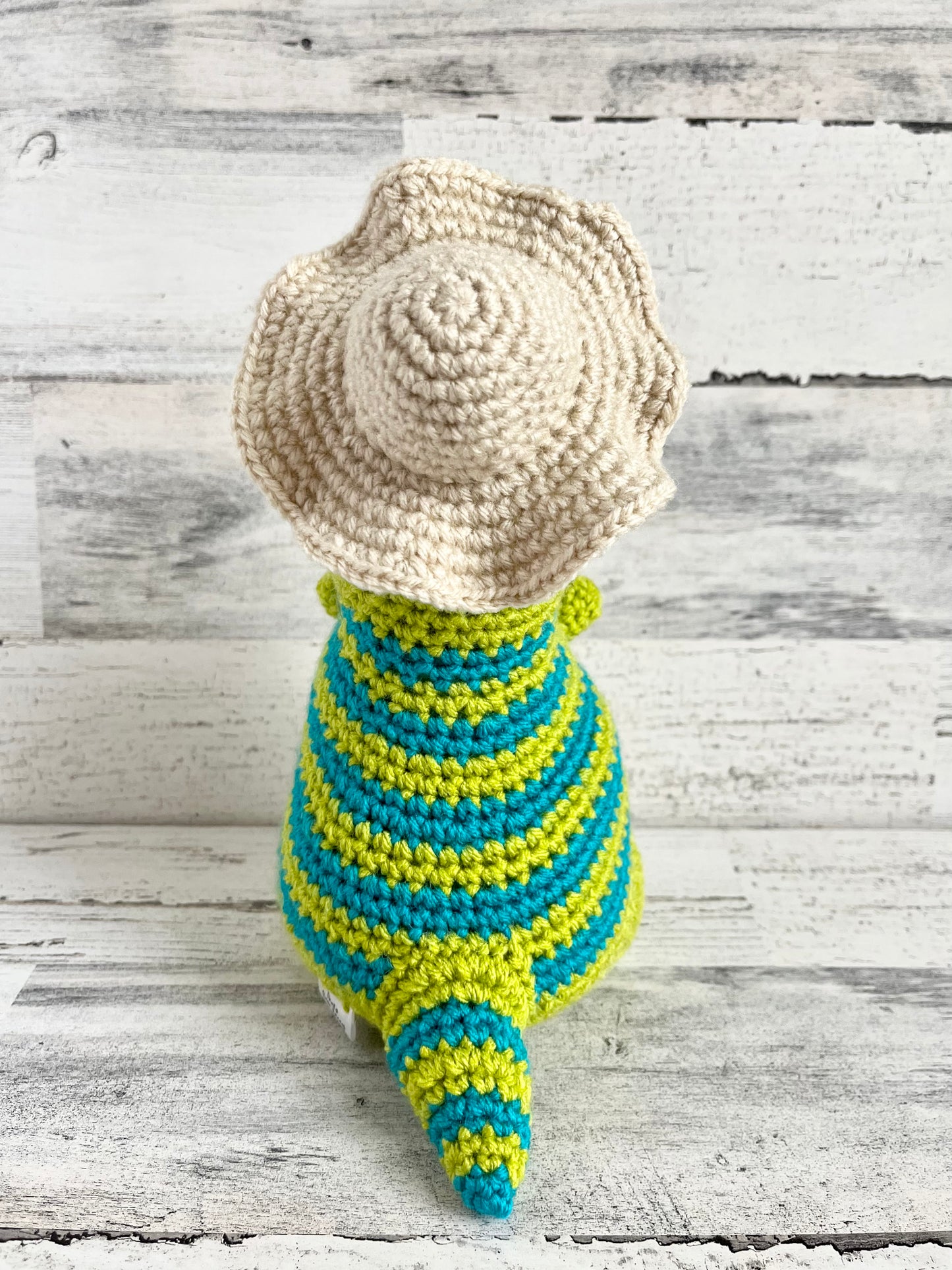 Sunny Beach Hat - Dinosaur Accessories