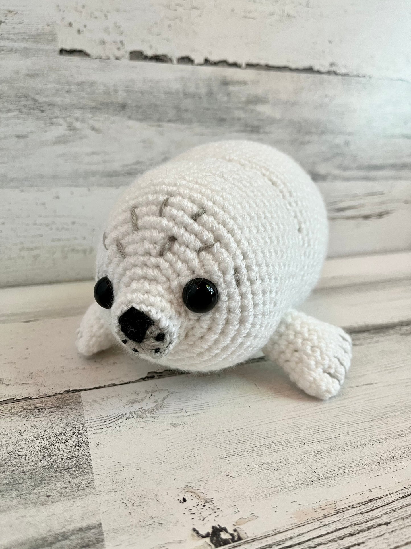 Chubby Baby Seal