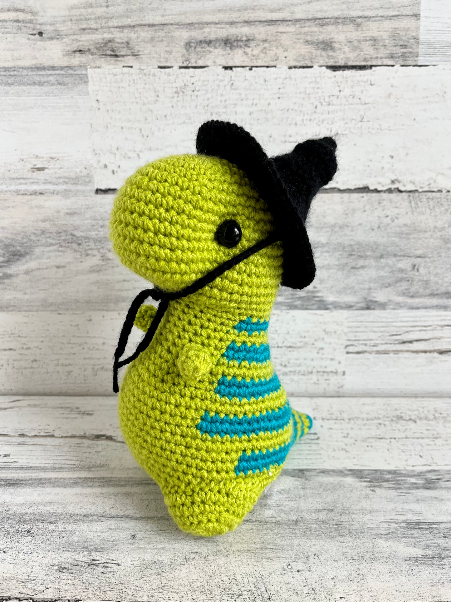 Witch Hat - Dinosaur Accessories