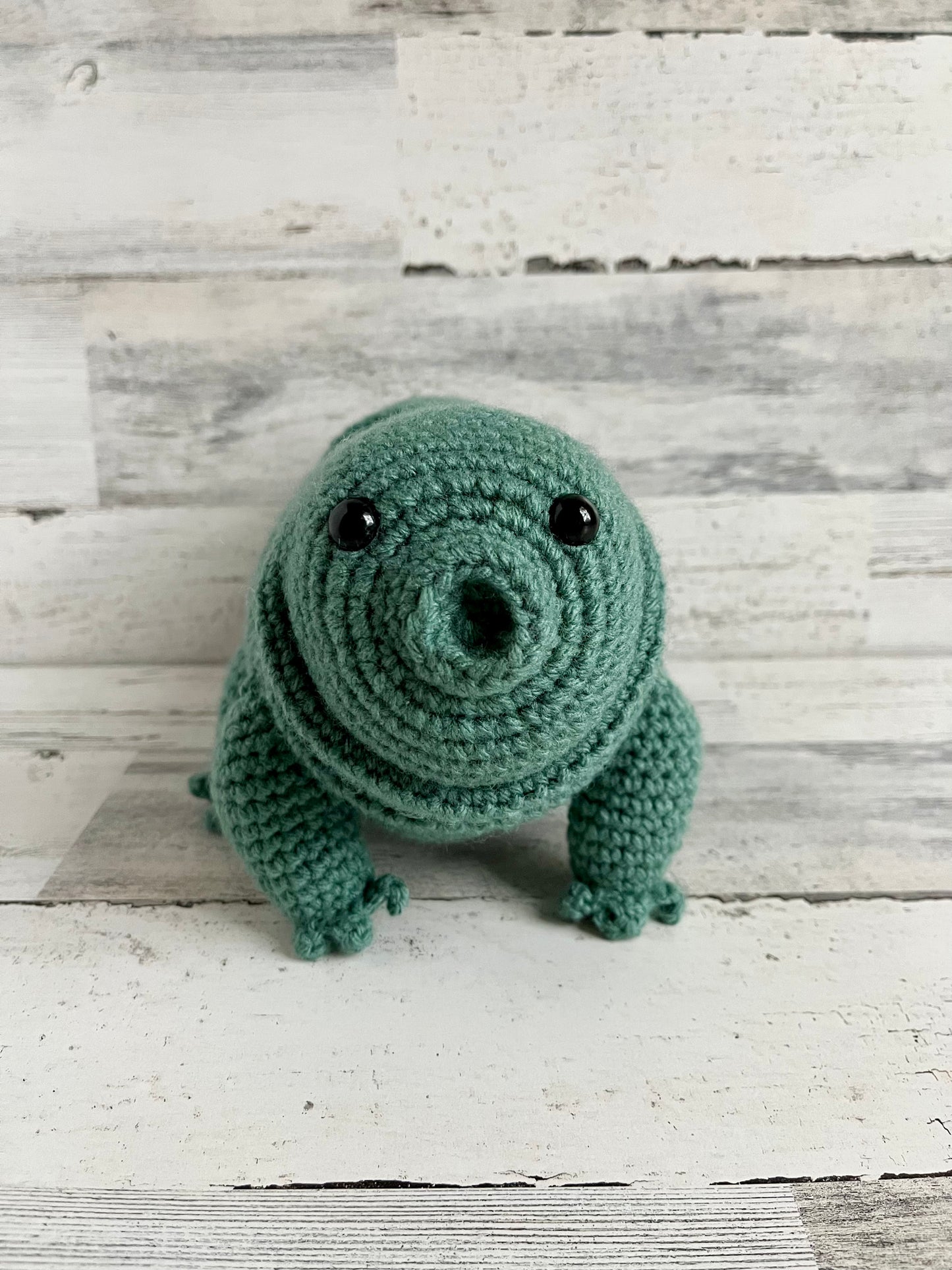 Water Bear (Tardigrade)