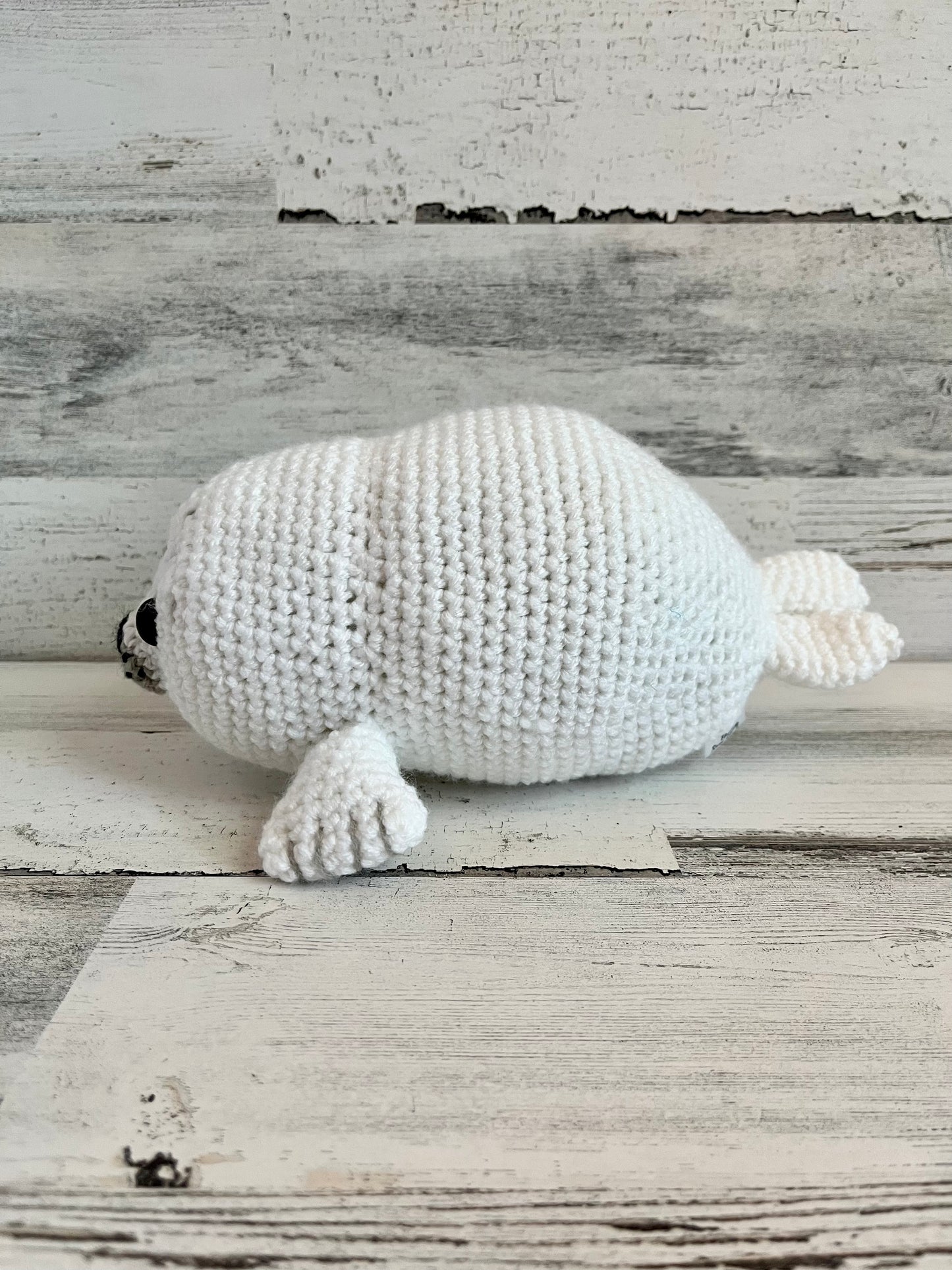 Chubby Baby Seal