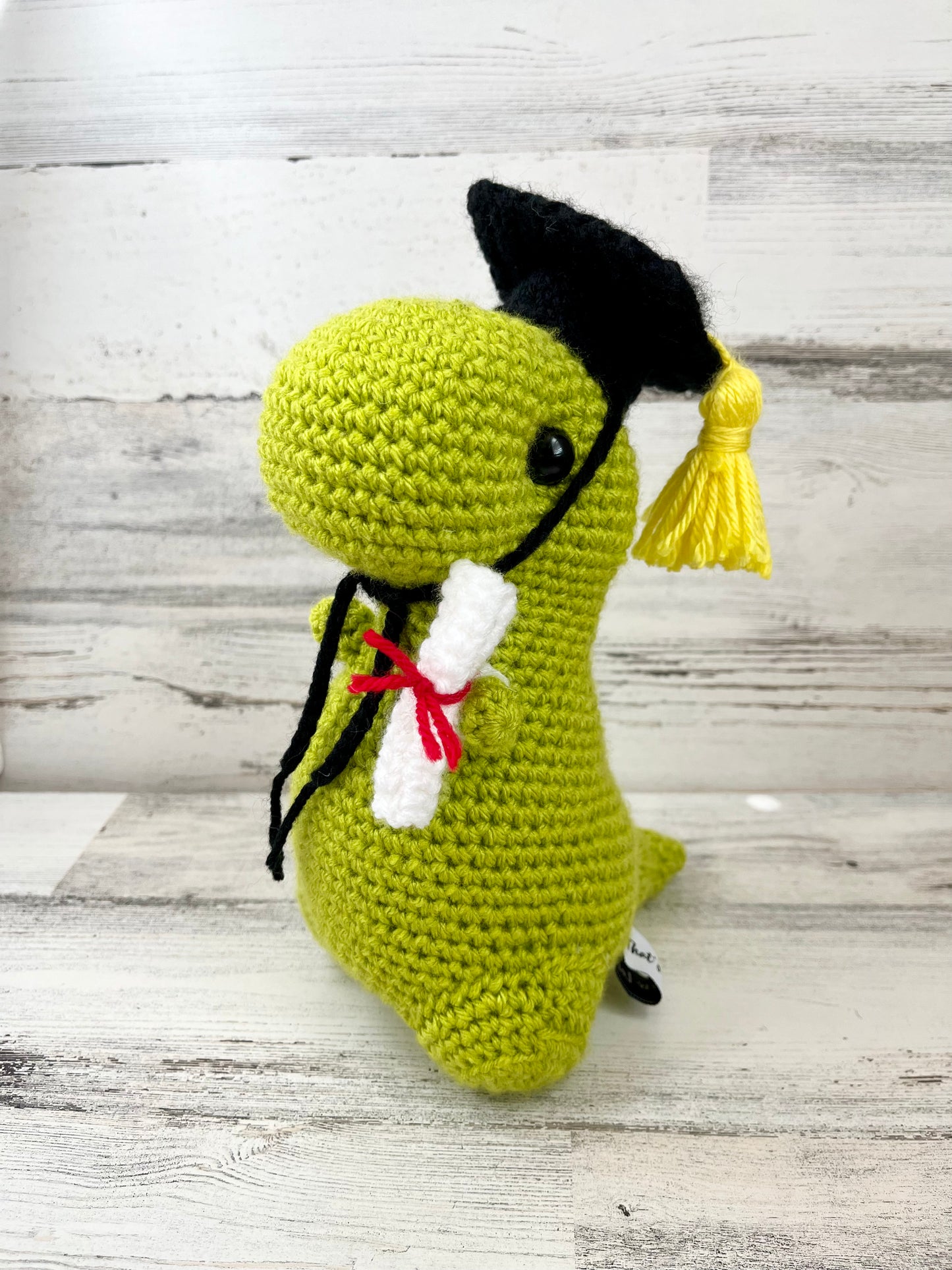 Graduation Cap & Diploma - Dinosaur Accessories