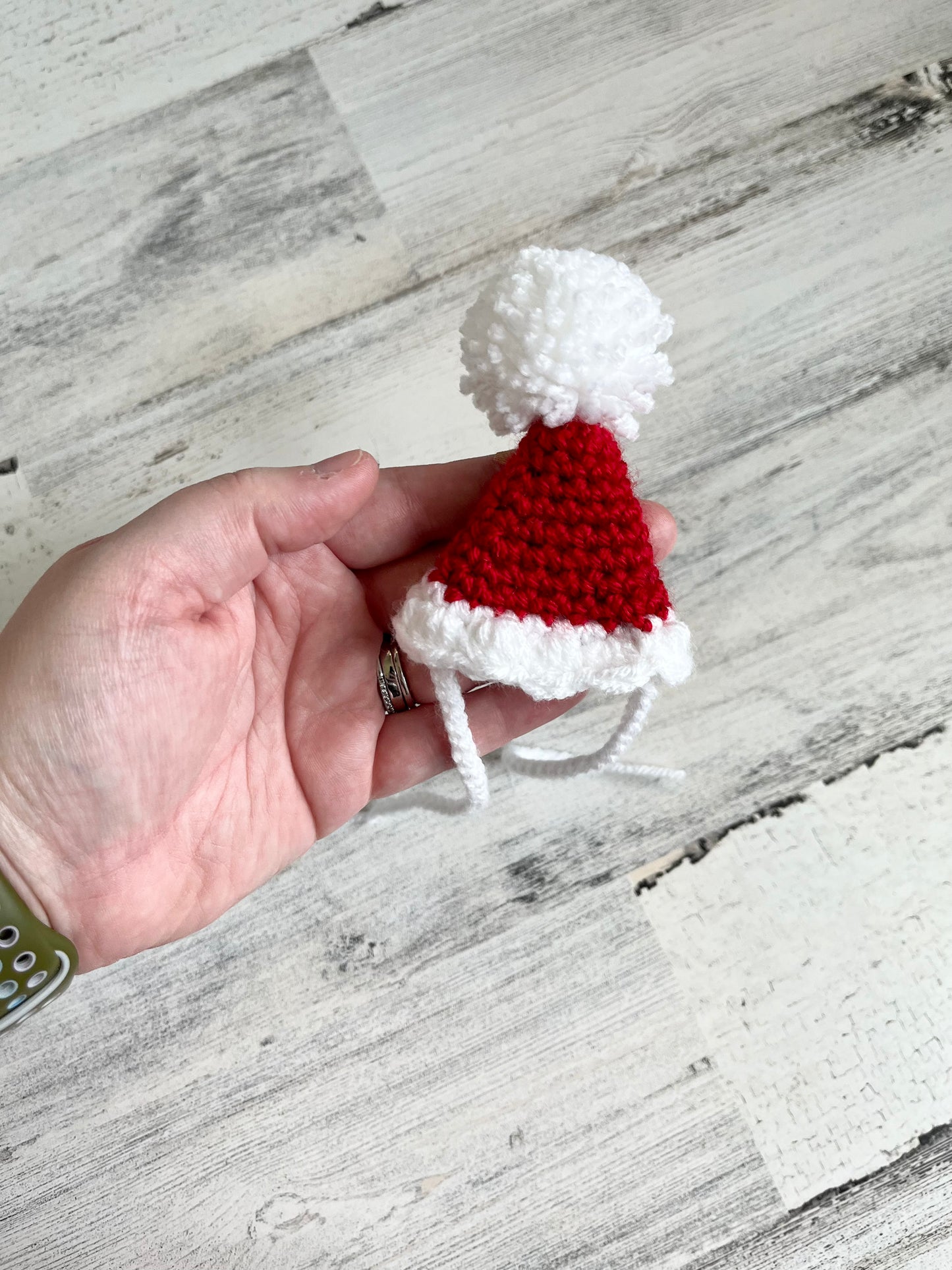Santa Hat - Dinosaur Accessories