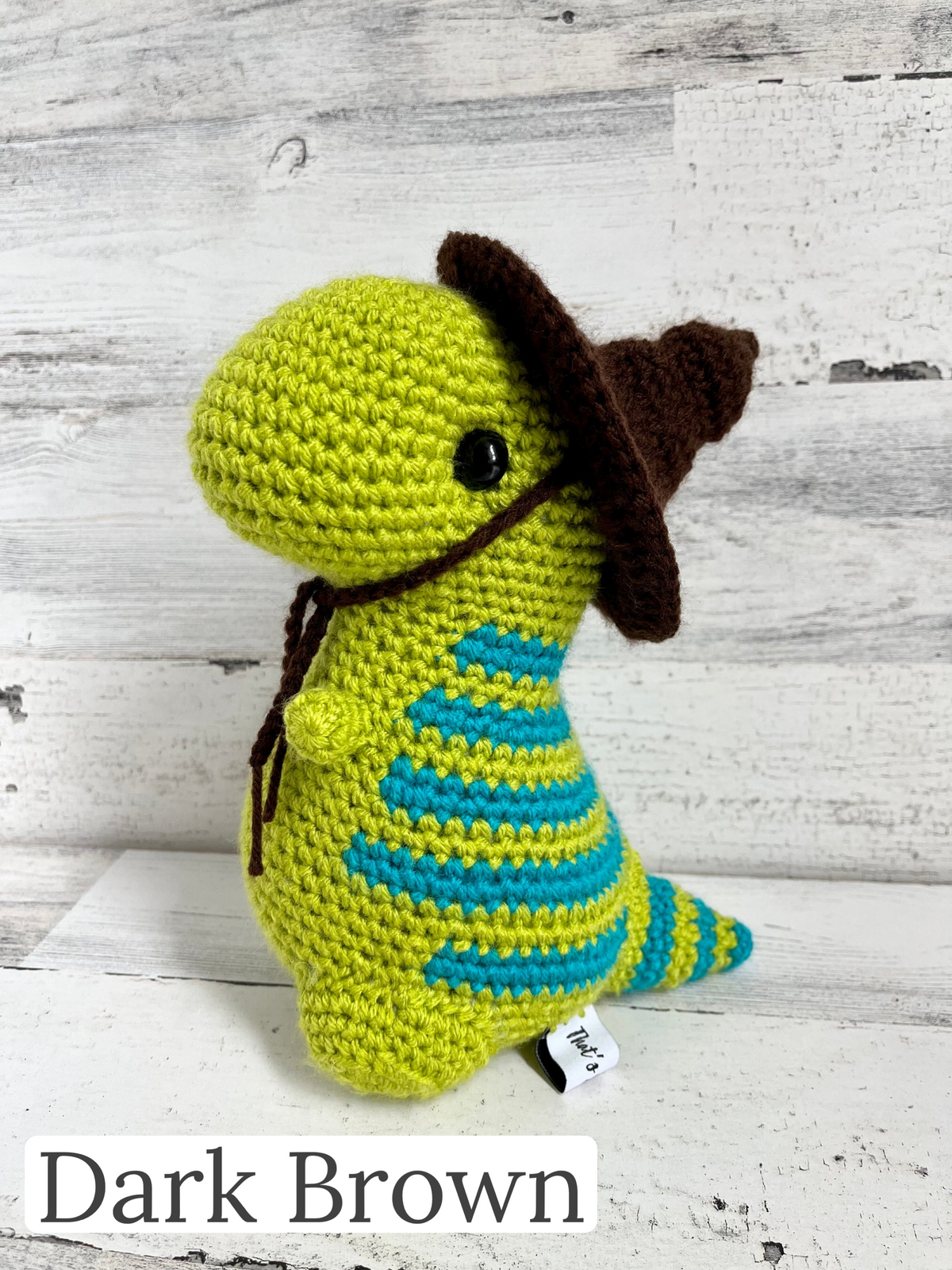 Witch Hat - Dinosaur Accessories
