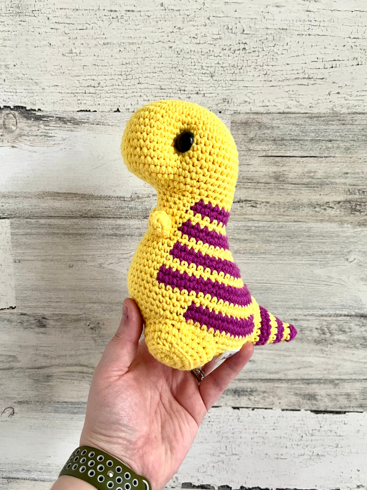 Purple and Yellow - Chubby Dinosaur