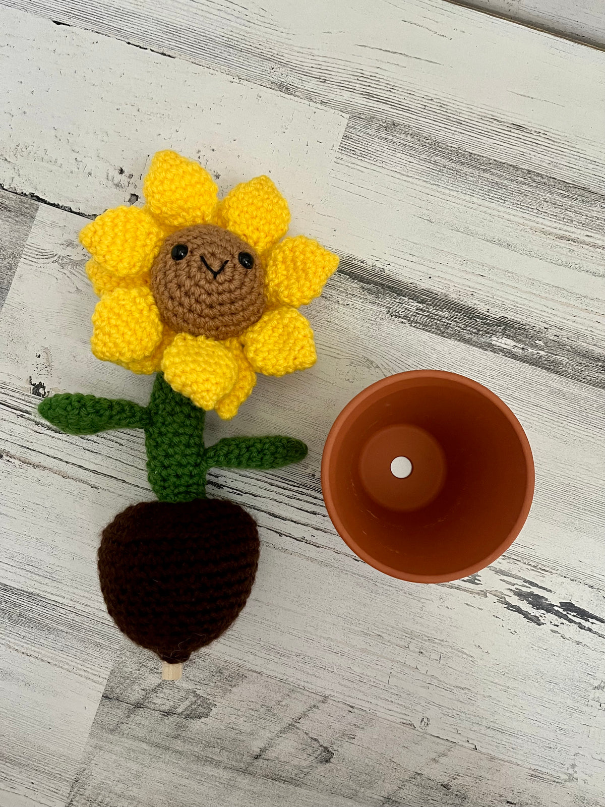 Potted Sunflower