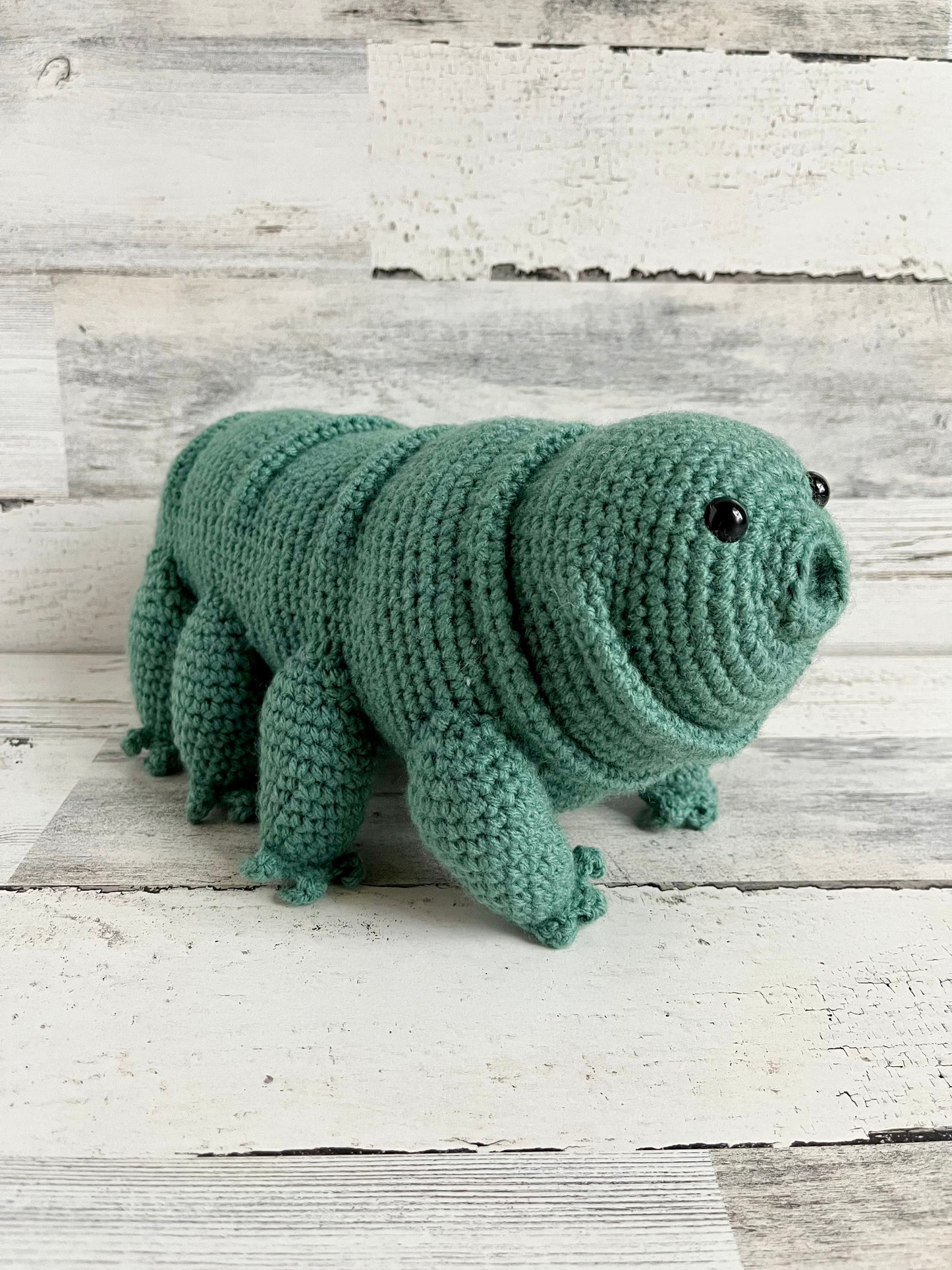 Water Bear (Tardigrade)