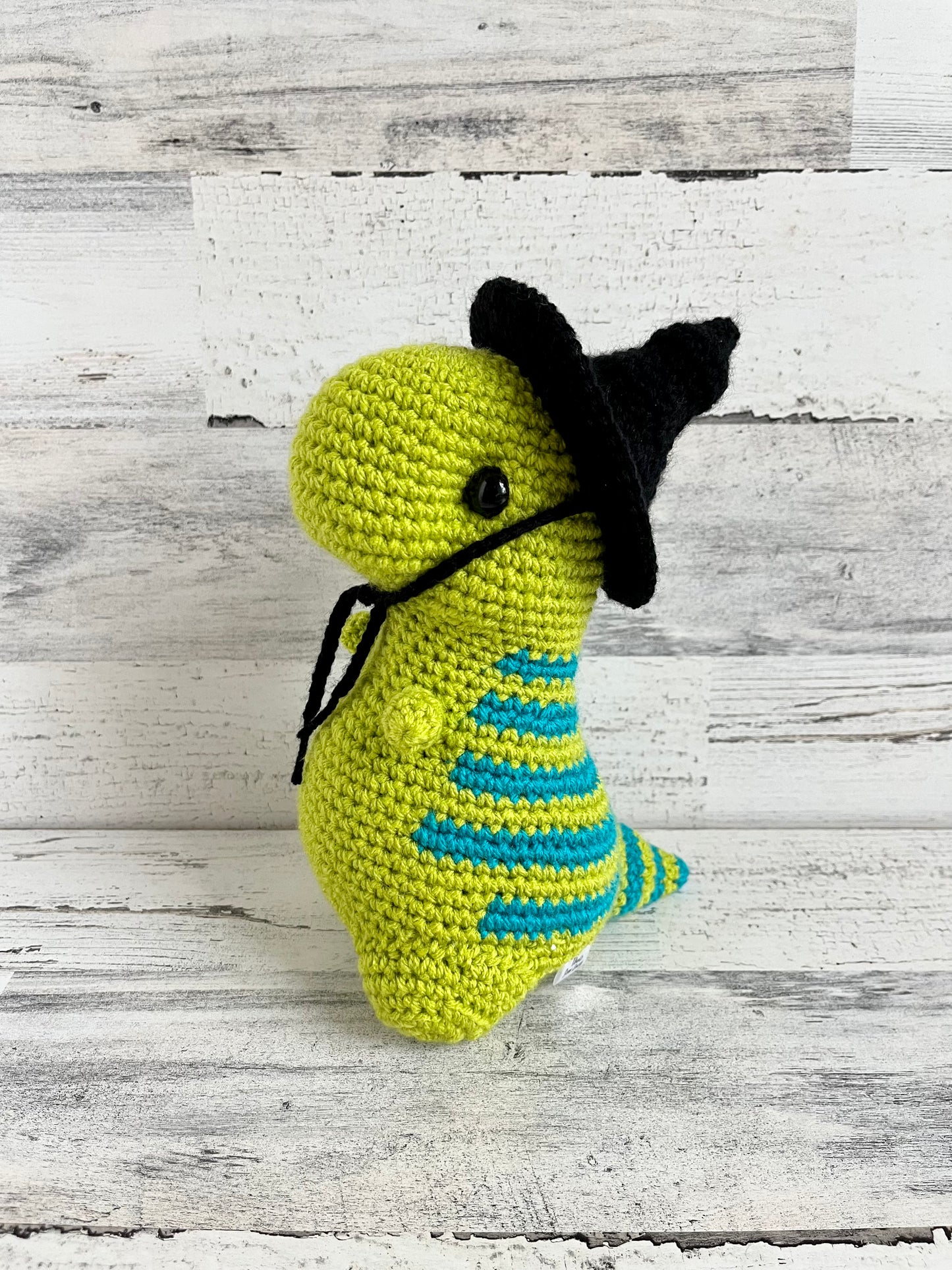 Witch Hat - Dinosaur Accessories