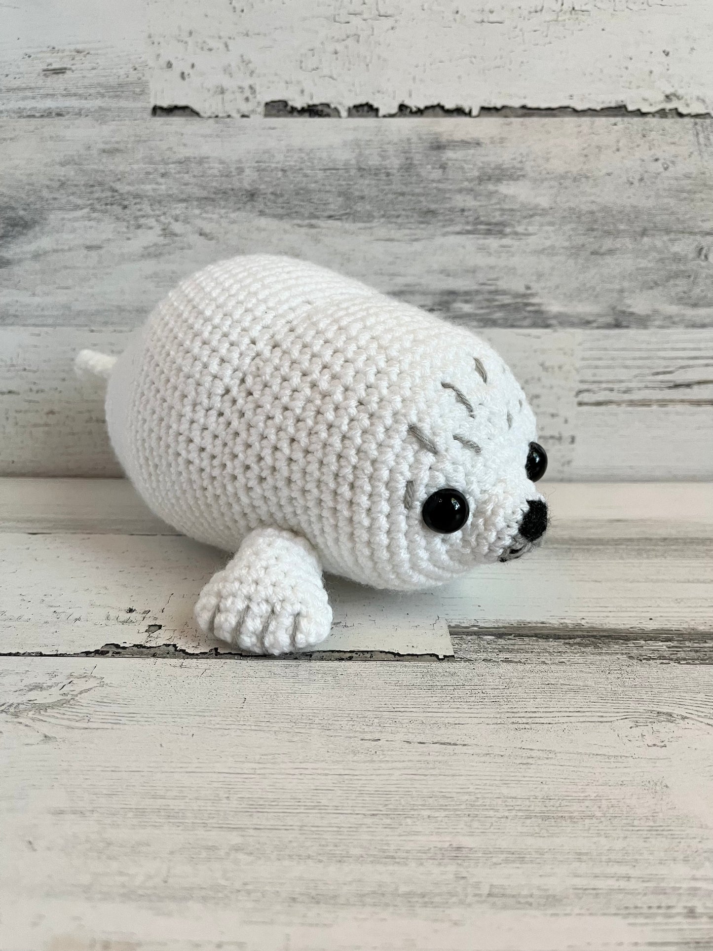 Chubby Baby Seal