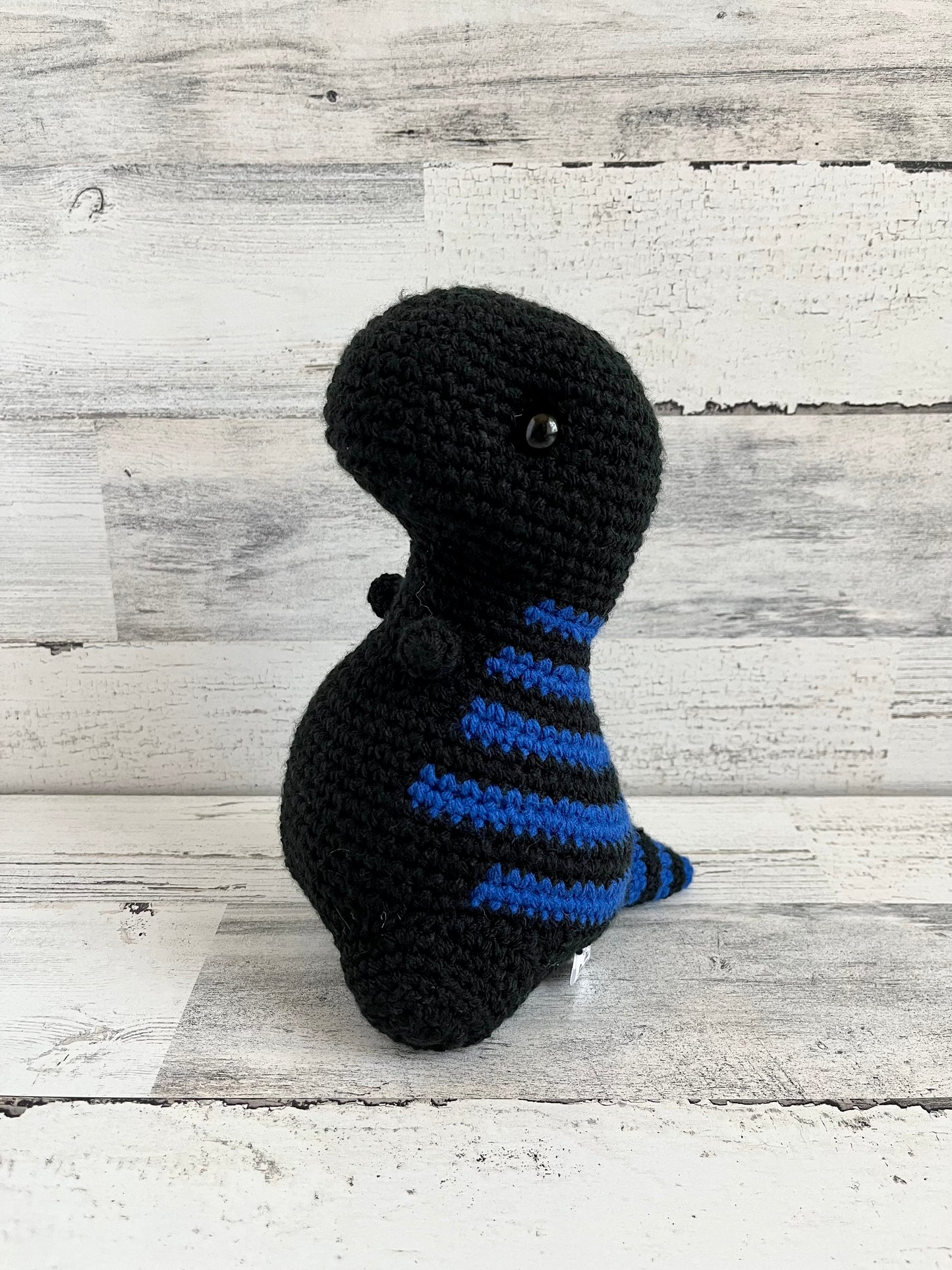 Black with Varsity Blue Stripes - Chubby Dinosaur