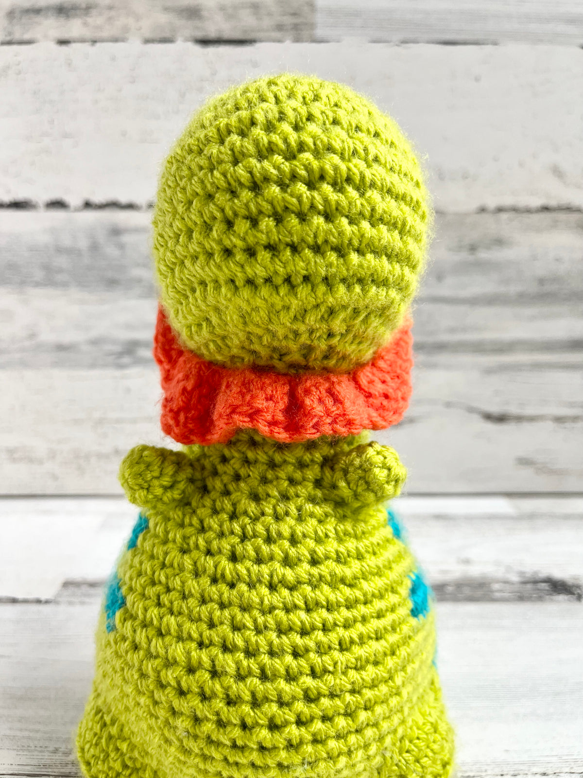 St. Patrick’s Day Leprechaun Hat & Beard- Dinosaur Accessories