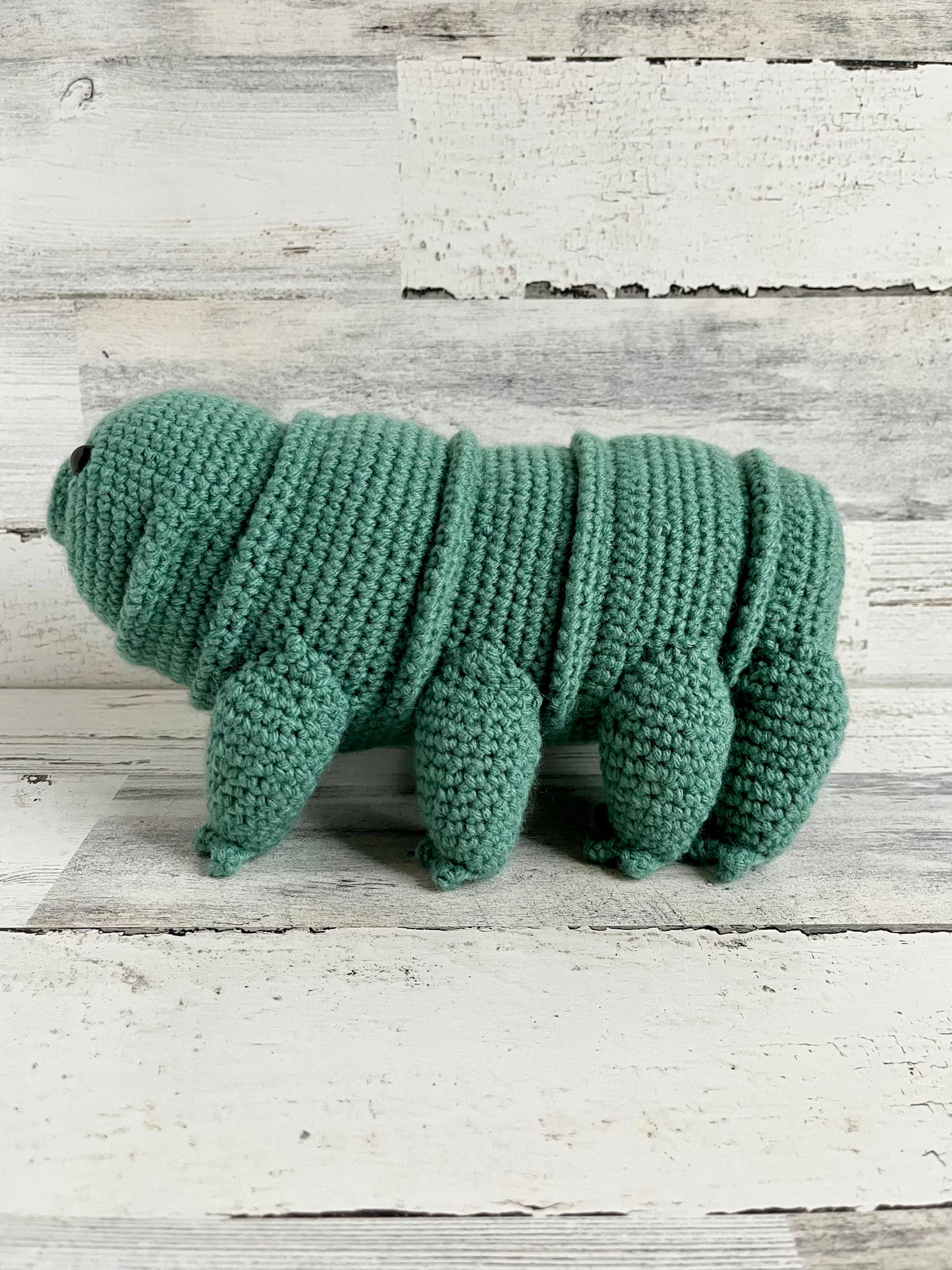 Water Bear (Tardigrade)