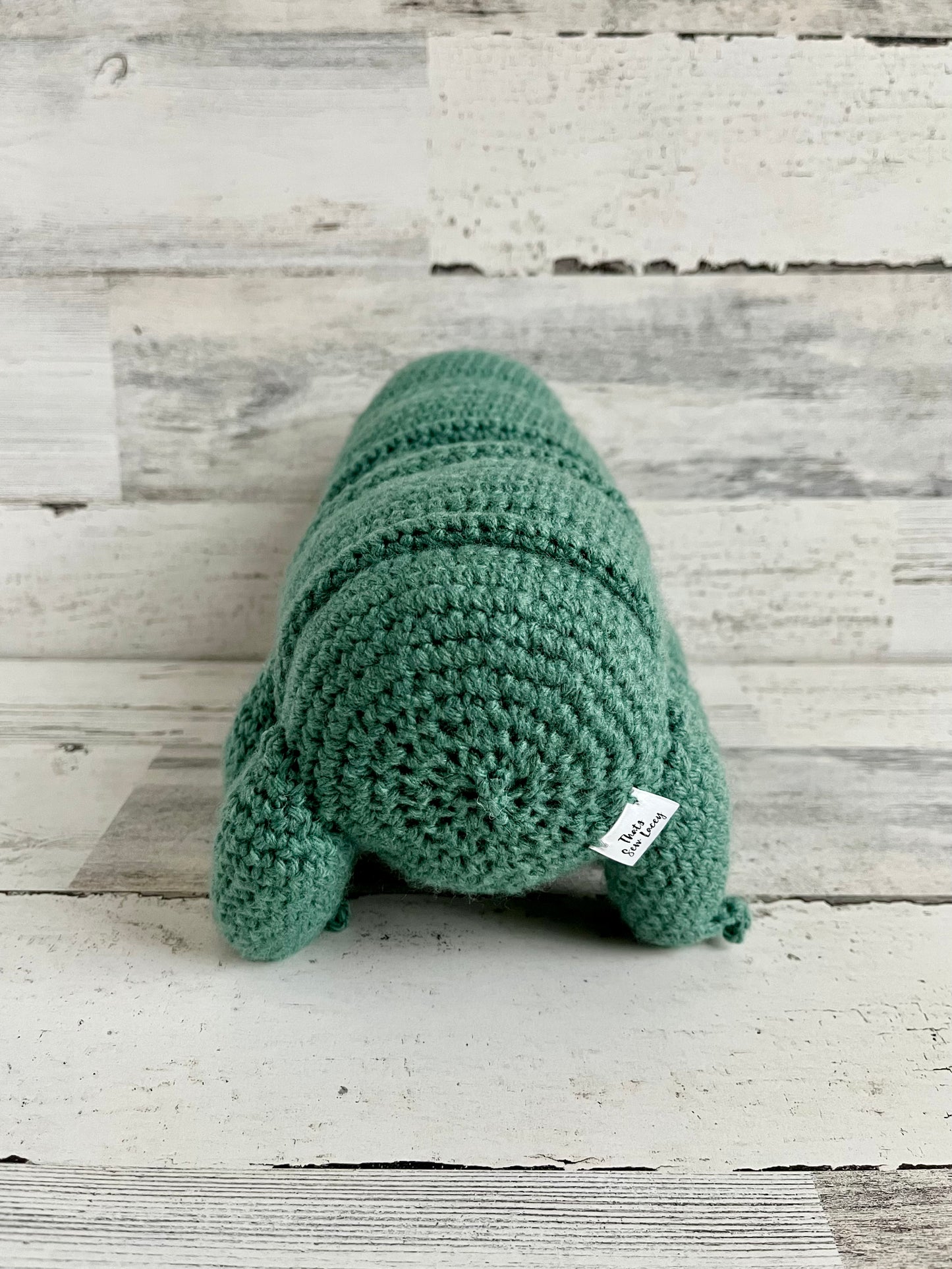 Water Bear (Tardigrade)