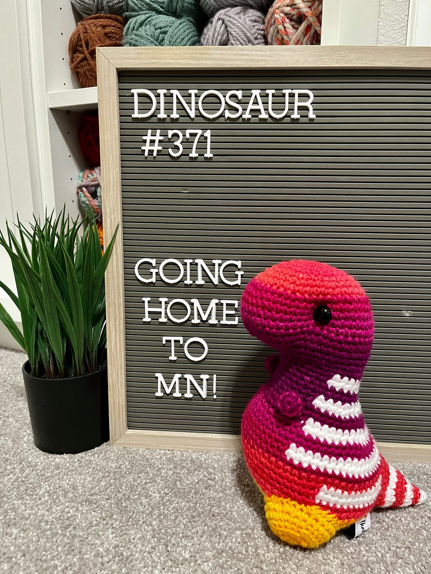 Sunset Ombré - Chubby Dinosaur
