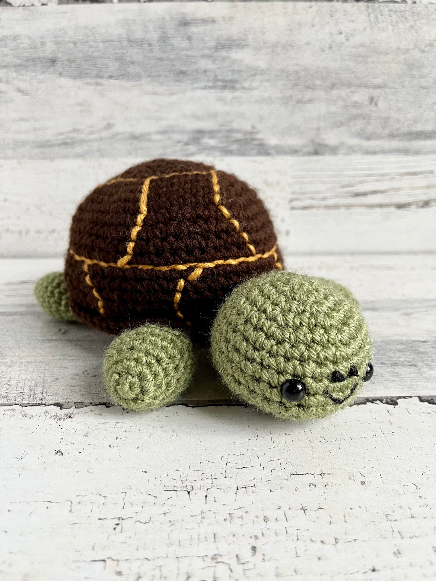 Timmy the Turtle