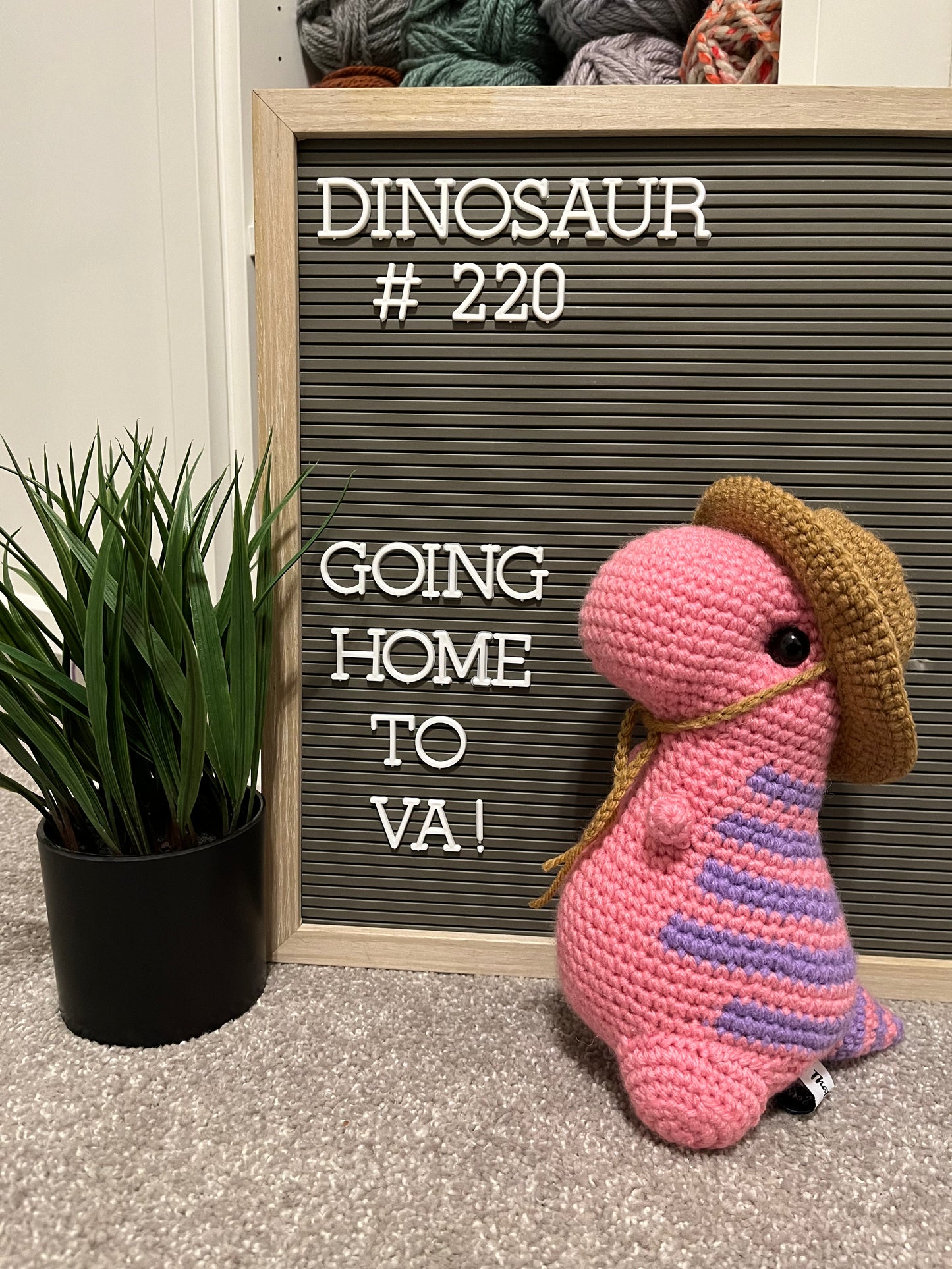 Amethyst & Pink - Chubby Dinosaur