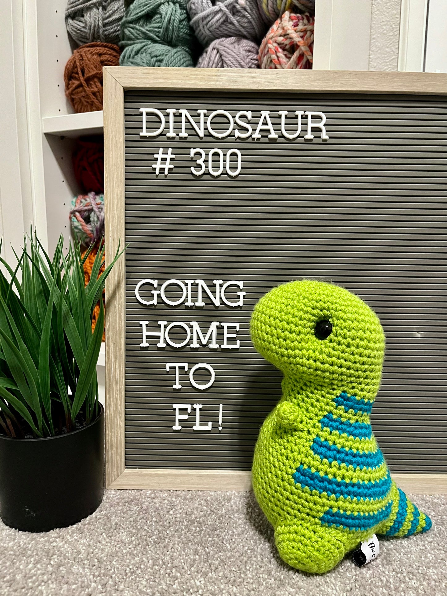 Green with Blue Stripes (Snacks) - Chubby Dinosaur