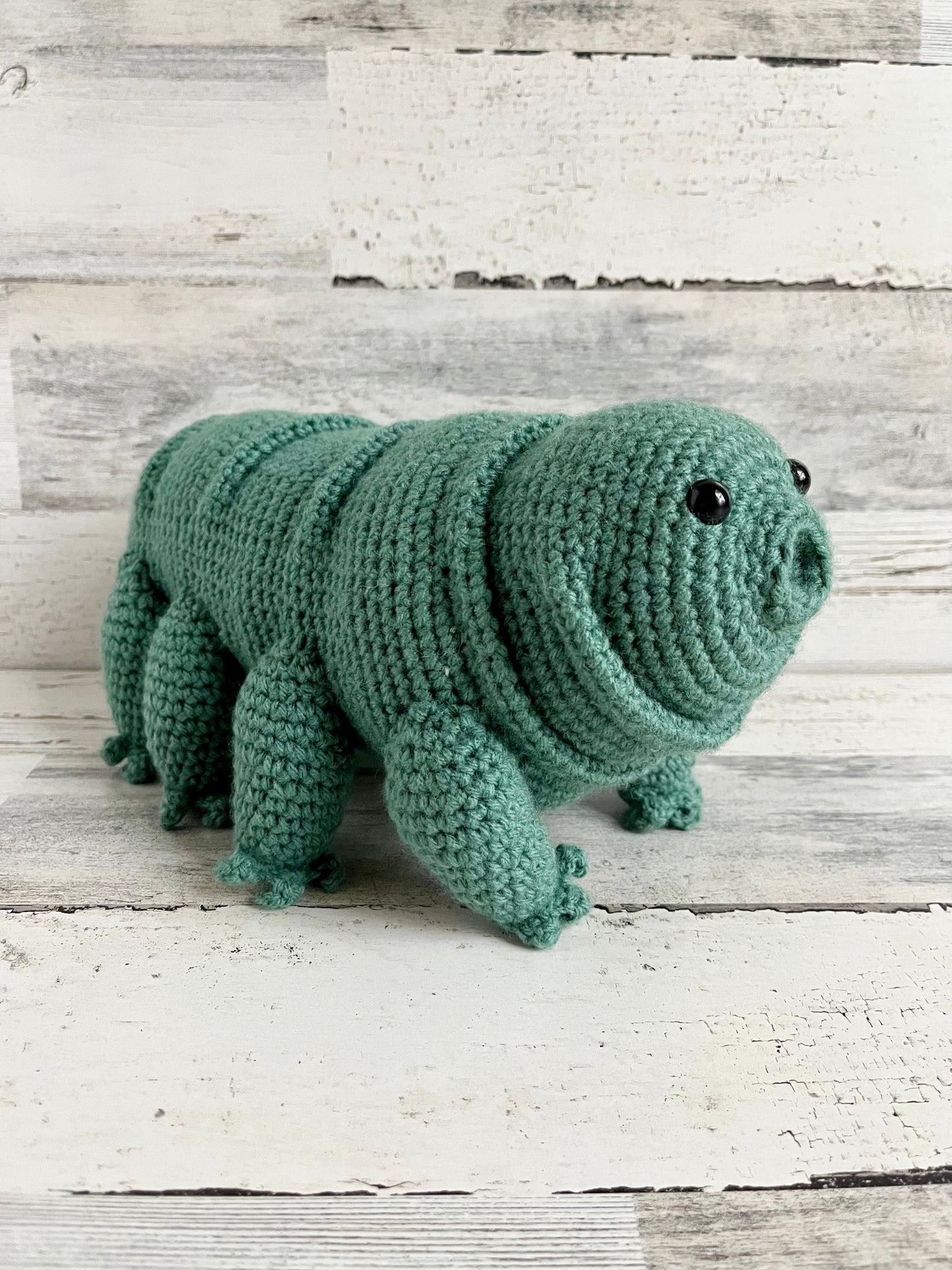Water Bear (Tardigrade)