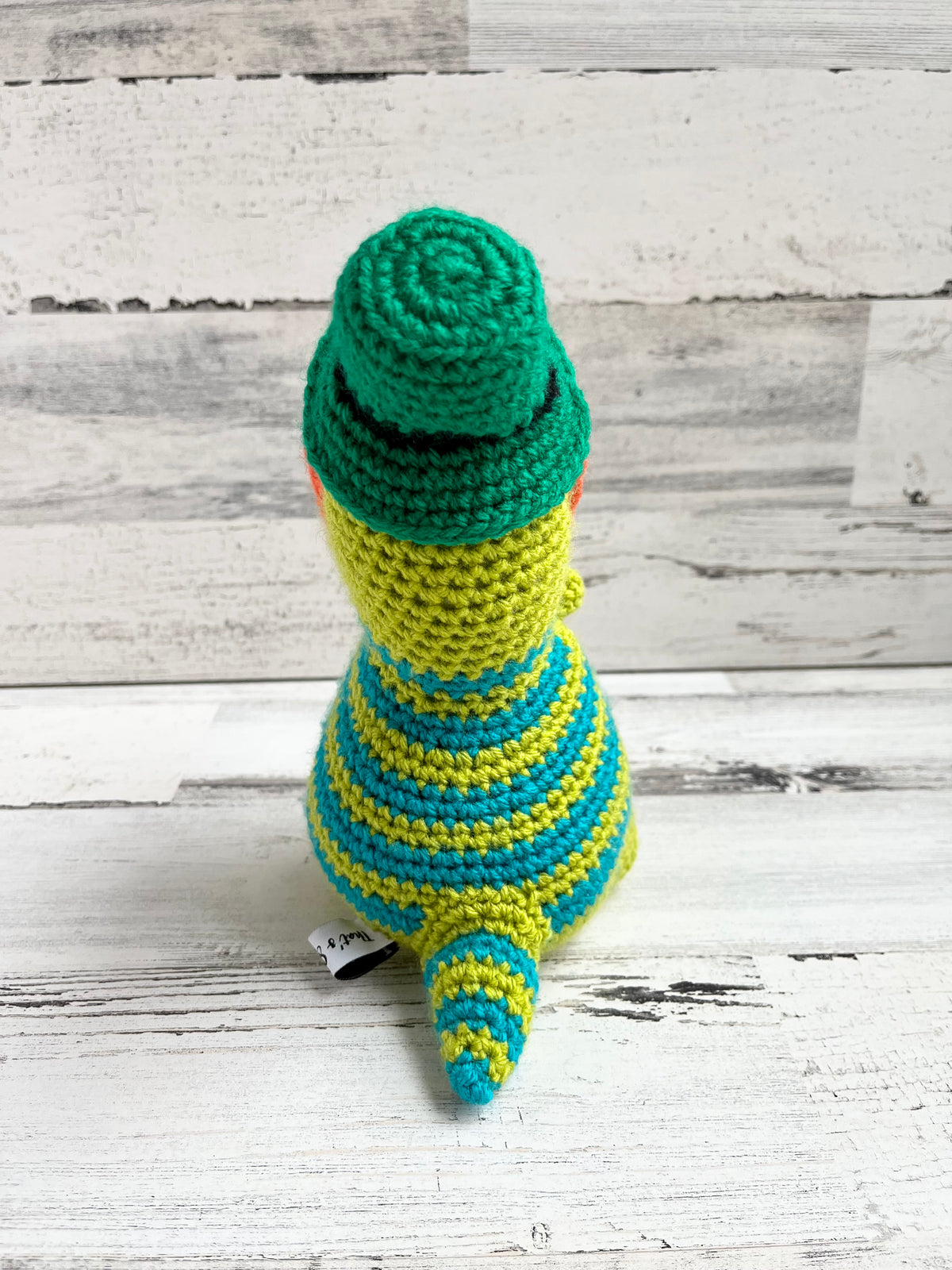 St. Patrick’s Day Leprechaun Hat & Beard- Dinosaur Accessories