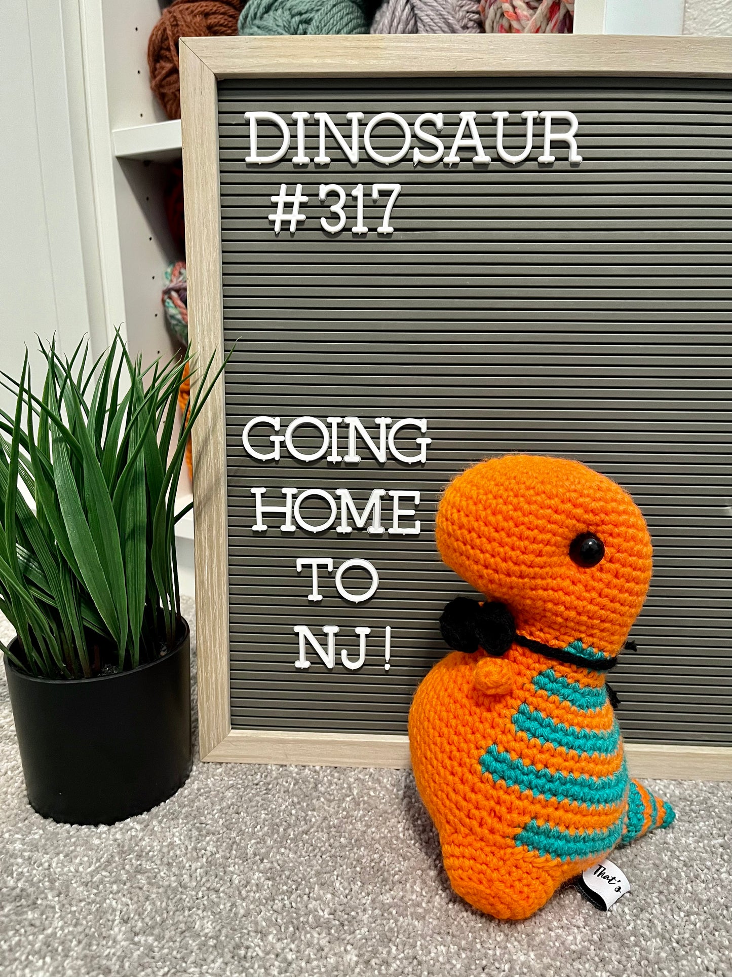 Orange & Teal - Chubby Dinosaur