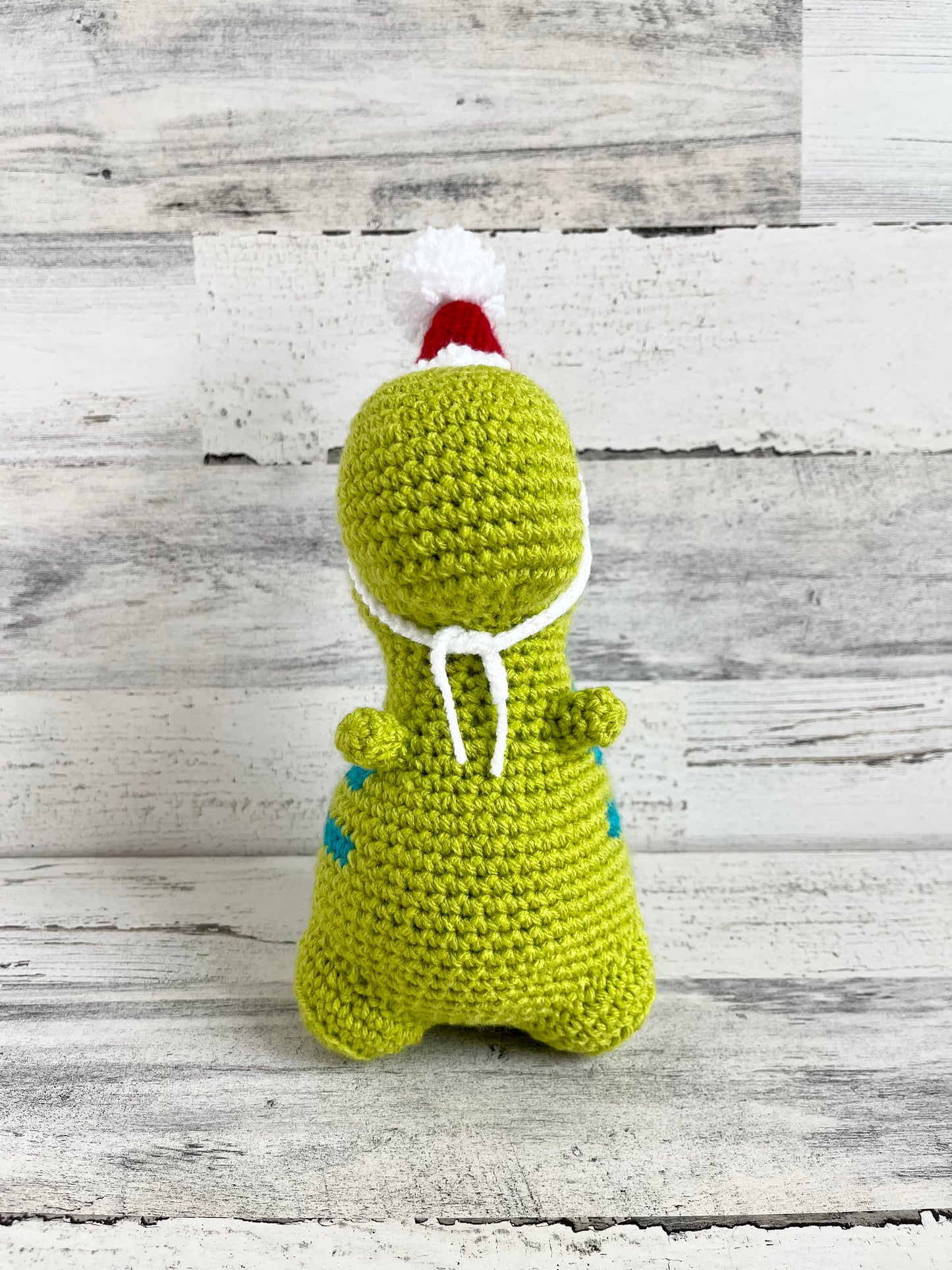 Santa Hat - Dinosaur Accessories