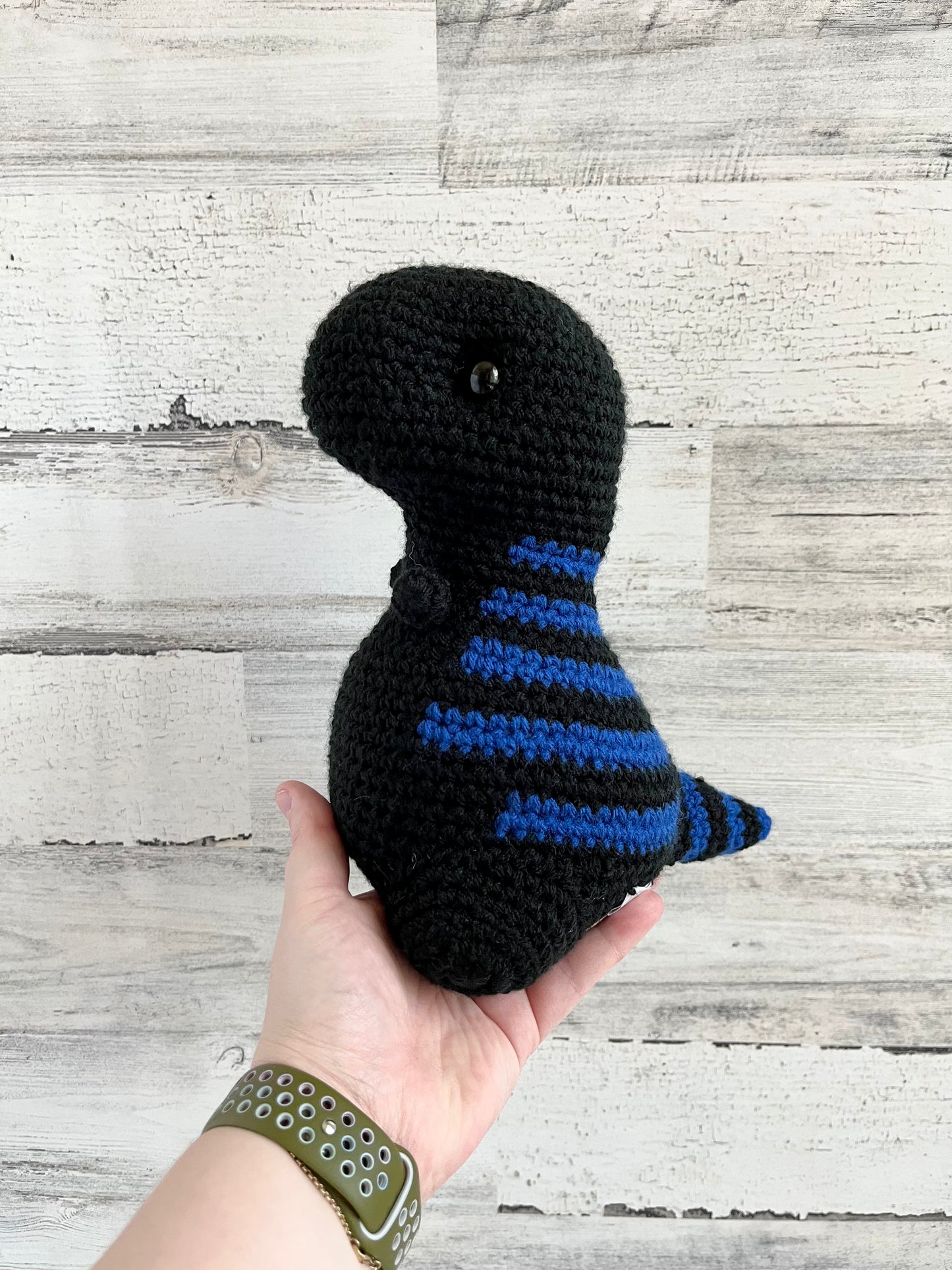 Black with Varsity Blue Stripes - Chubby Dinosaur