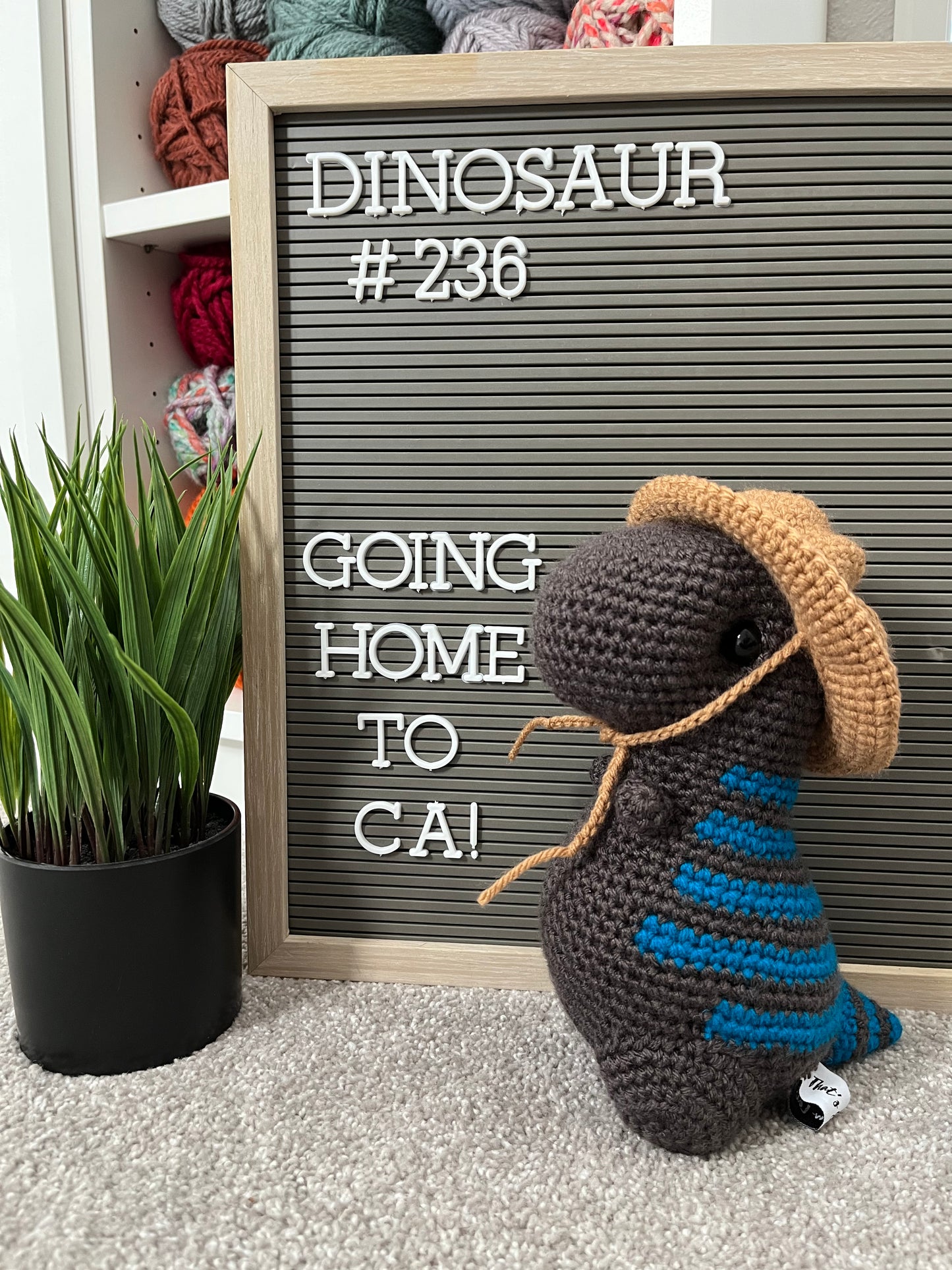Graphite Gray with Sapphire Blue Stripes - Chubby Dinosaur