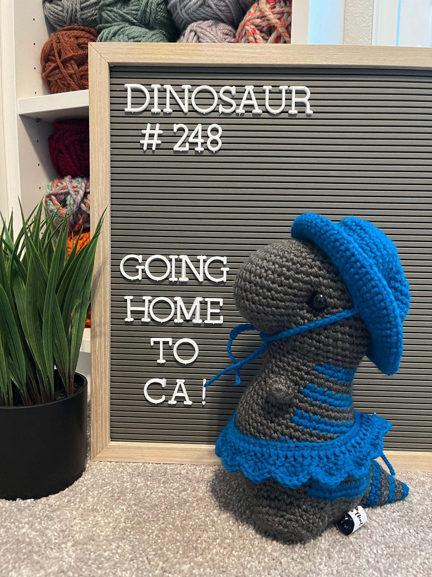 Graphite Gray with Sapphire Blue Stripes - Chubby Dinosaur