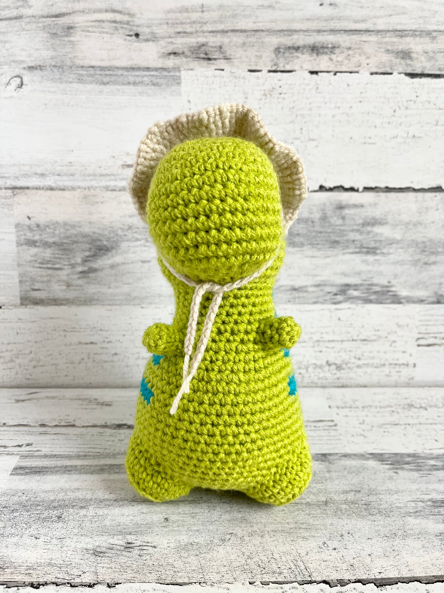 Sunny Beach Hat - Dinosaur Accessories