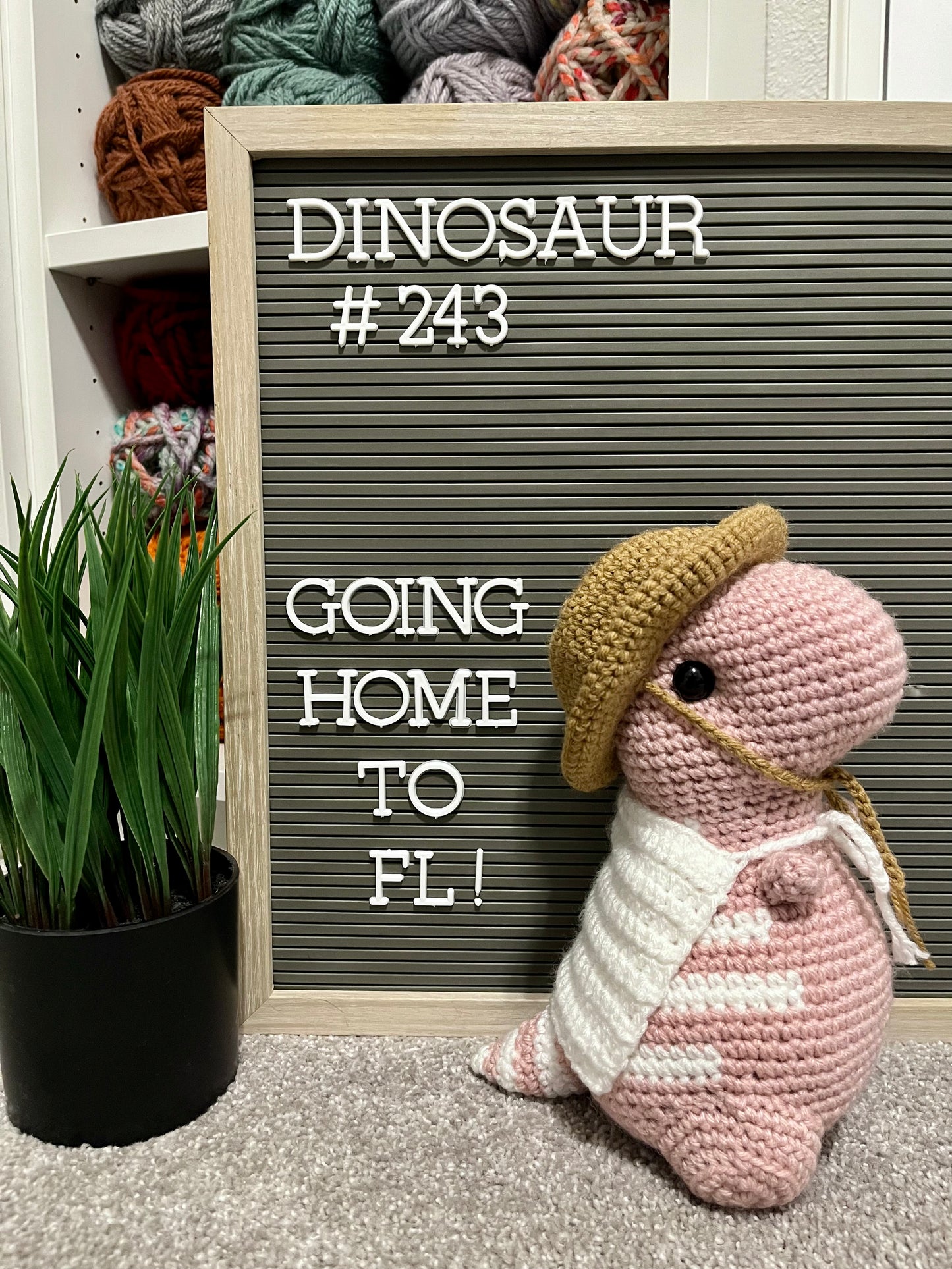 Light Rose Pink & White - Chubby Dinosaur