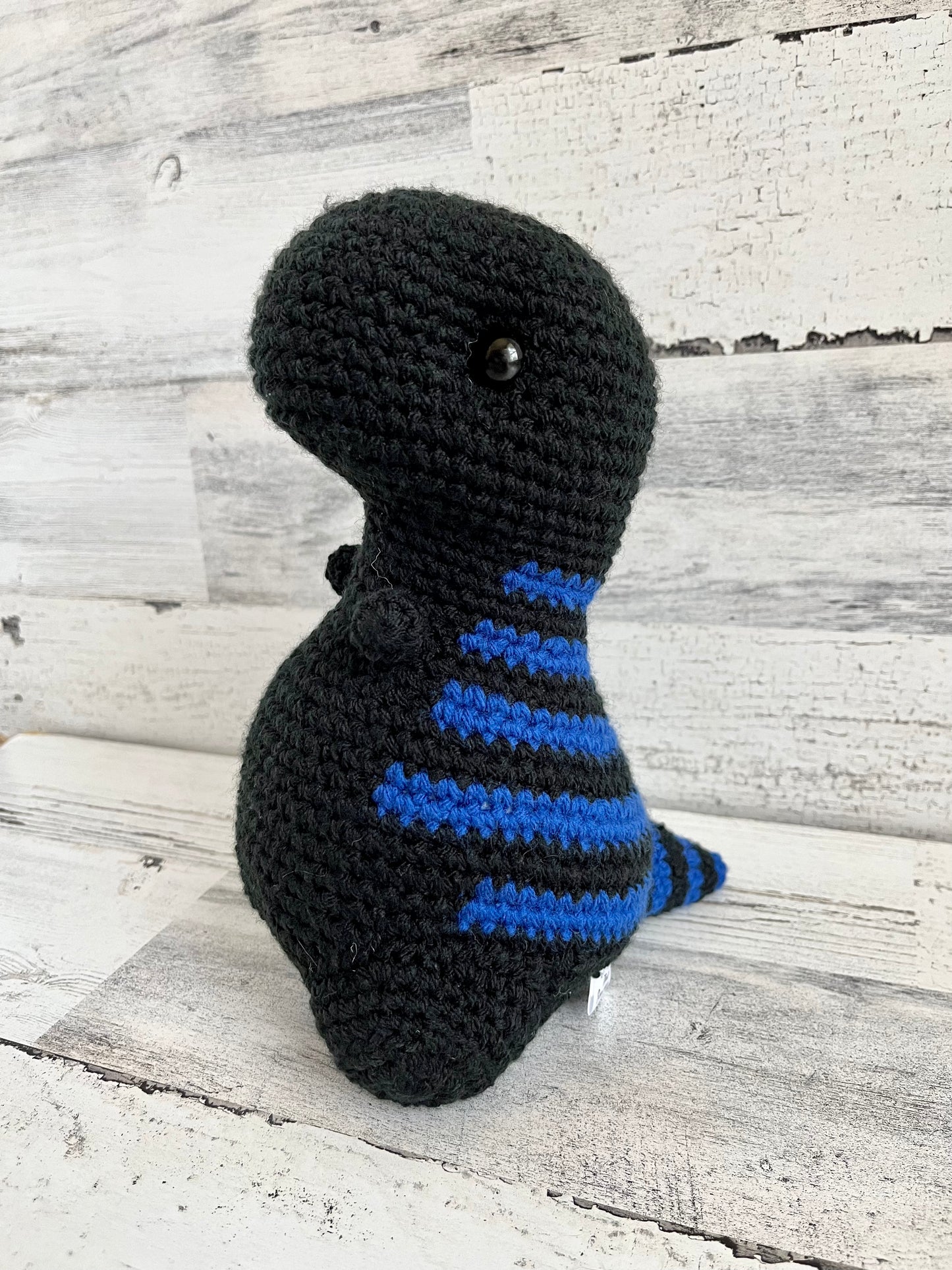 Black with Varsity Blue Stripes - Chubby Dinosaur